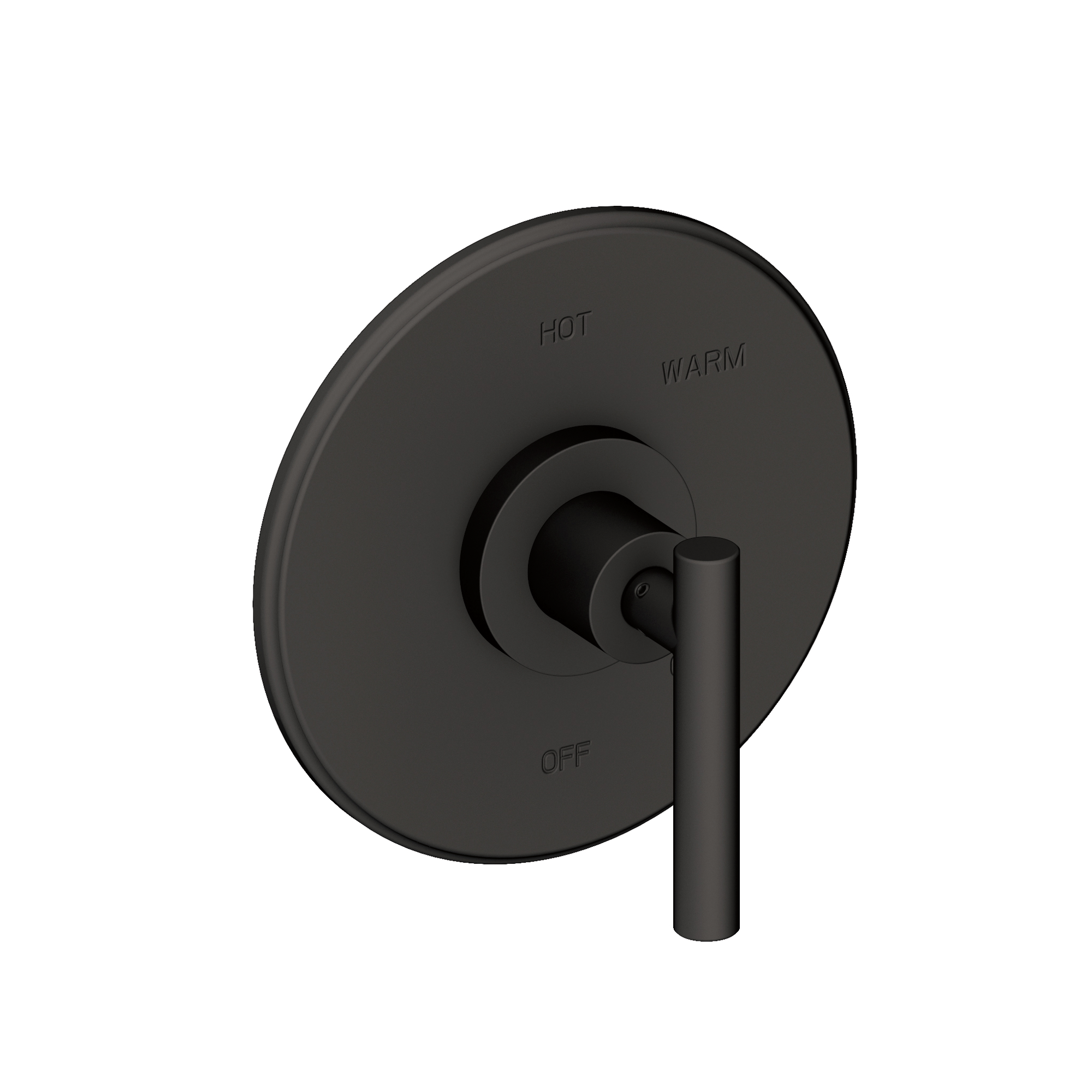 Newport Brass East Linear® Balanced Pressure Shower Trim Plate with Handle