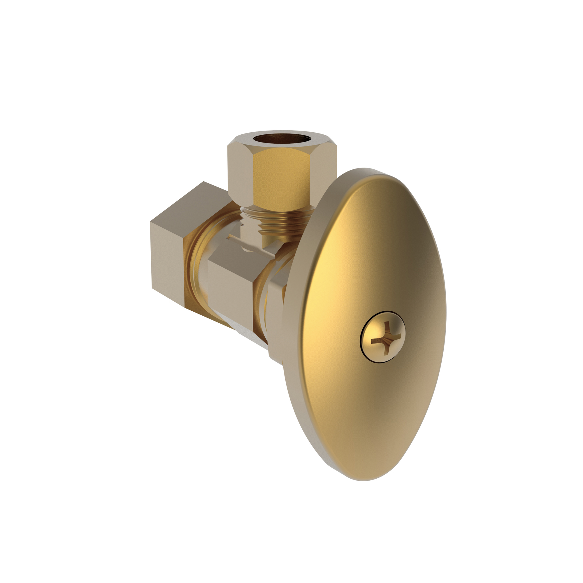 Newport Brass Brasstech Angle Valve, 1/2" Compression