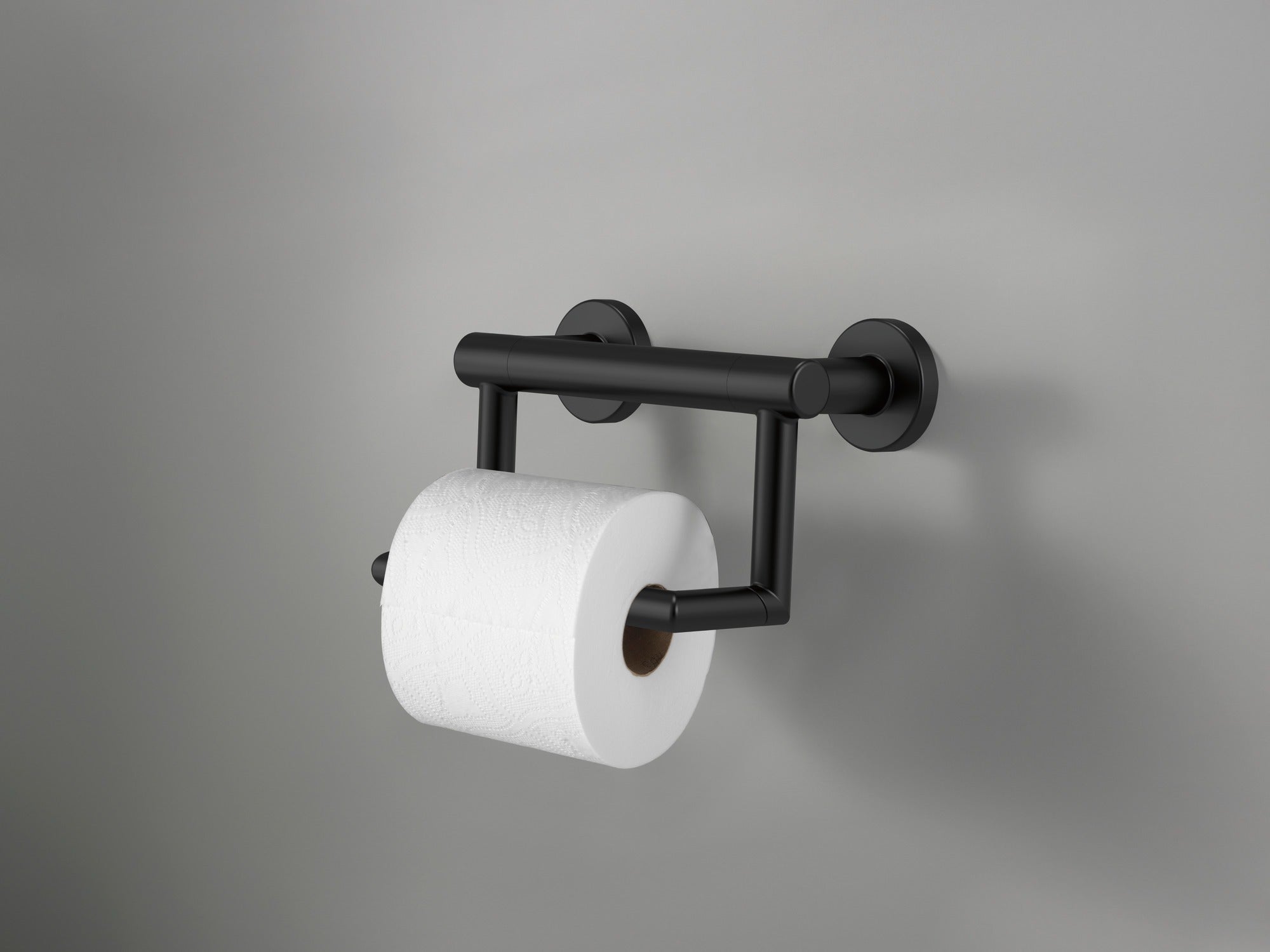 Delta BathSafety Delta Contemporary Tissue Holder with Assist Bar