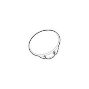 Moen Plug Button kit 42006