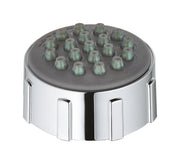 Grohe Spray Faceplate 45147