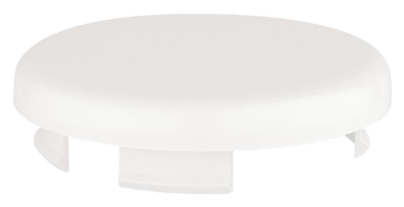 Grohe Cover Plate 45652