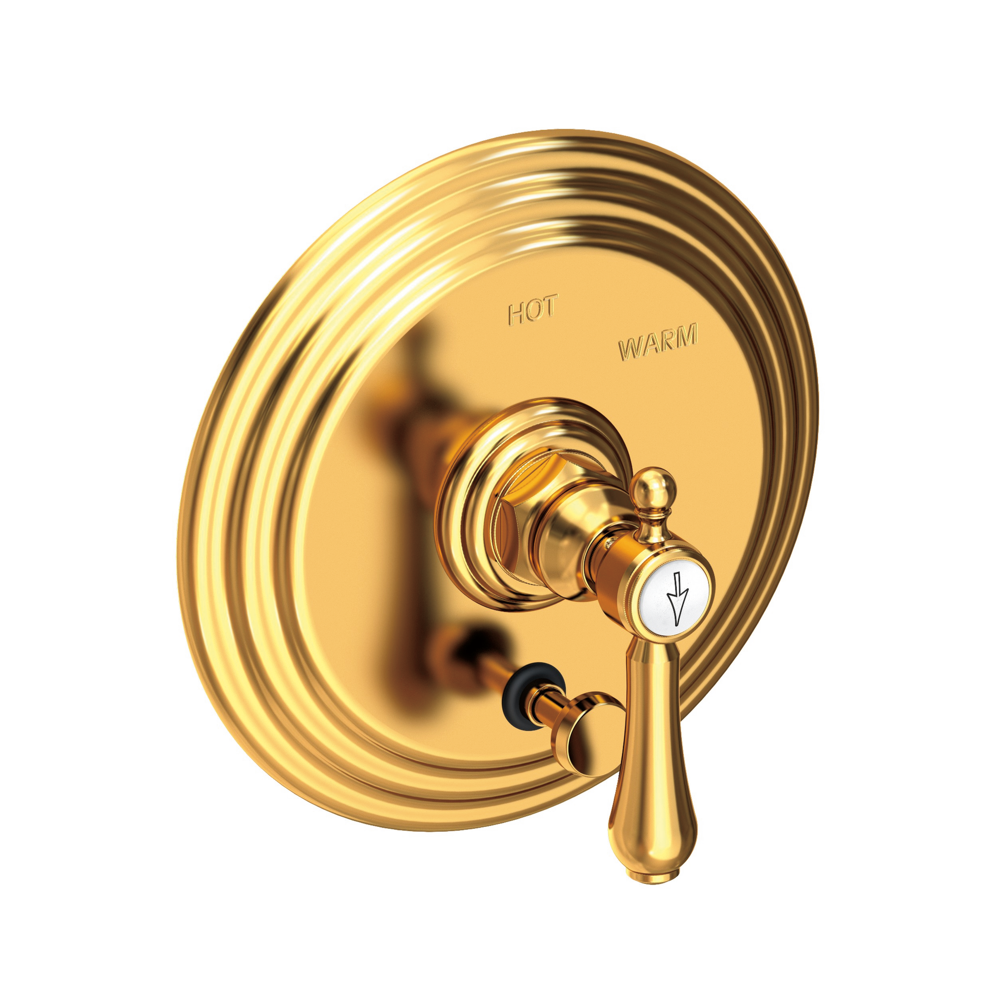 Newport Brass Chesterfield® Balanced Pressure Tub & Shower Diverter Plate with Handle