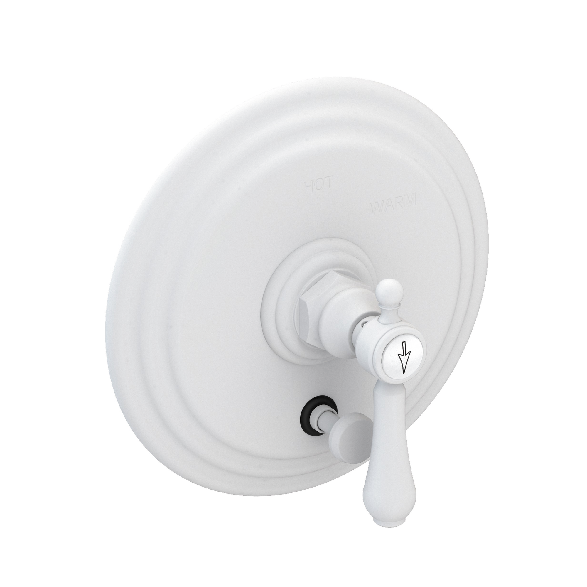Newport Brass Chesterfield® Balanced Pressure Tub & Shower Diverter Plate with Handle