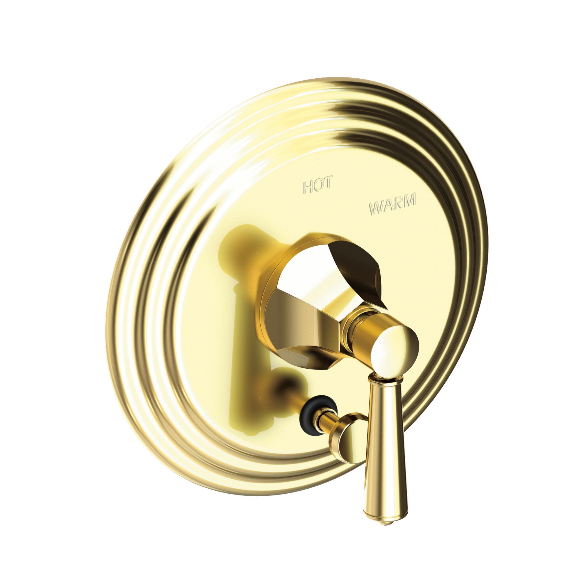 Newport Brass Metropole® Balanced Pressure Tub & Shower Diverter Plate with Handle