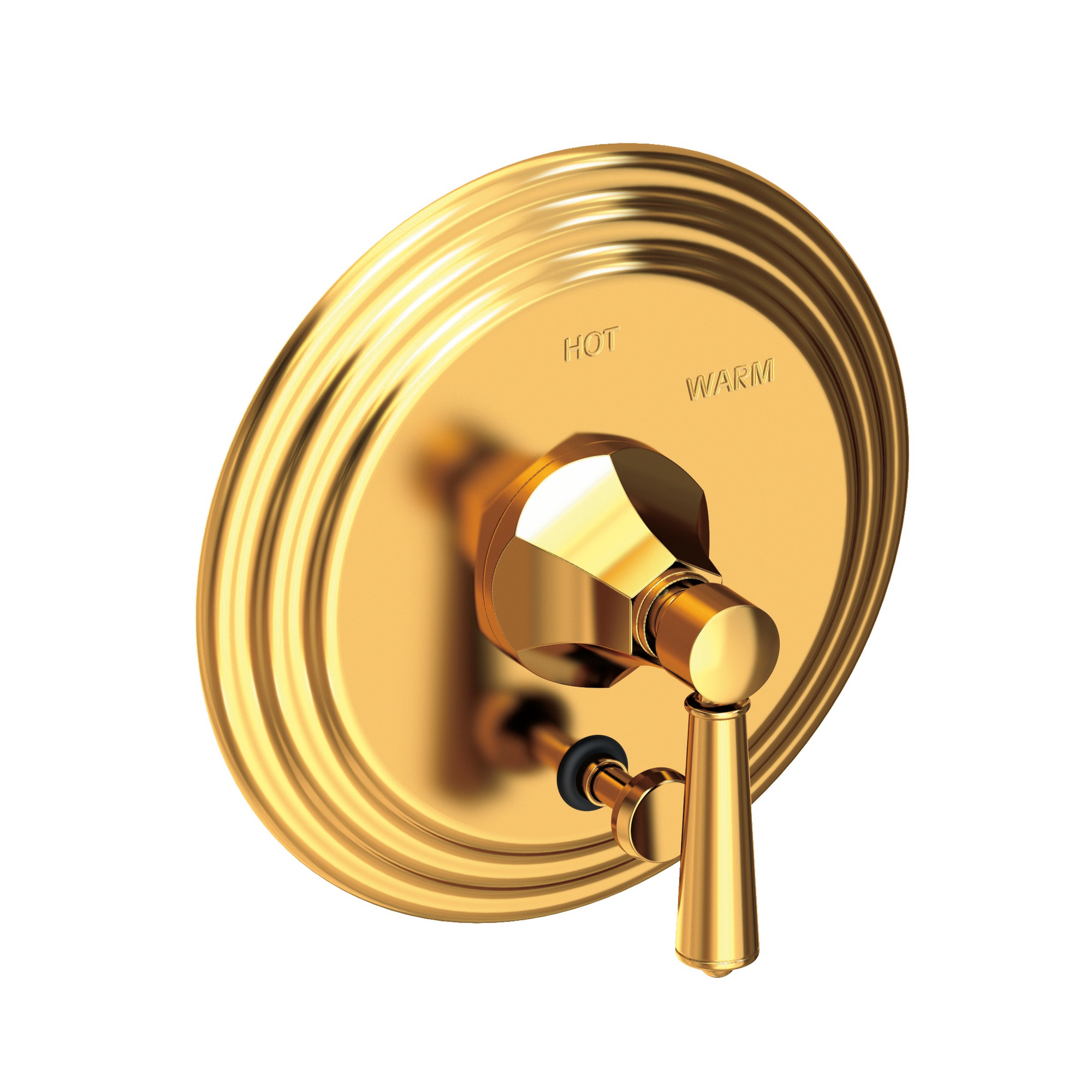 Newport Brass Metropole® Balanced Pressure Tub & Shower Diverter Plate with Handle