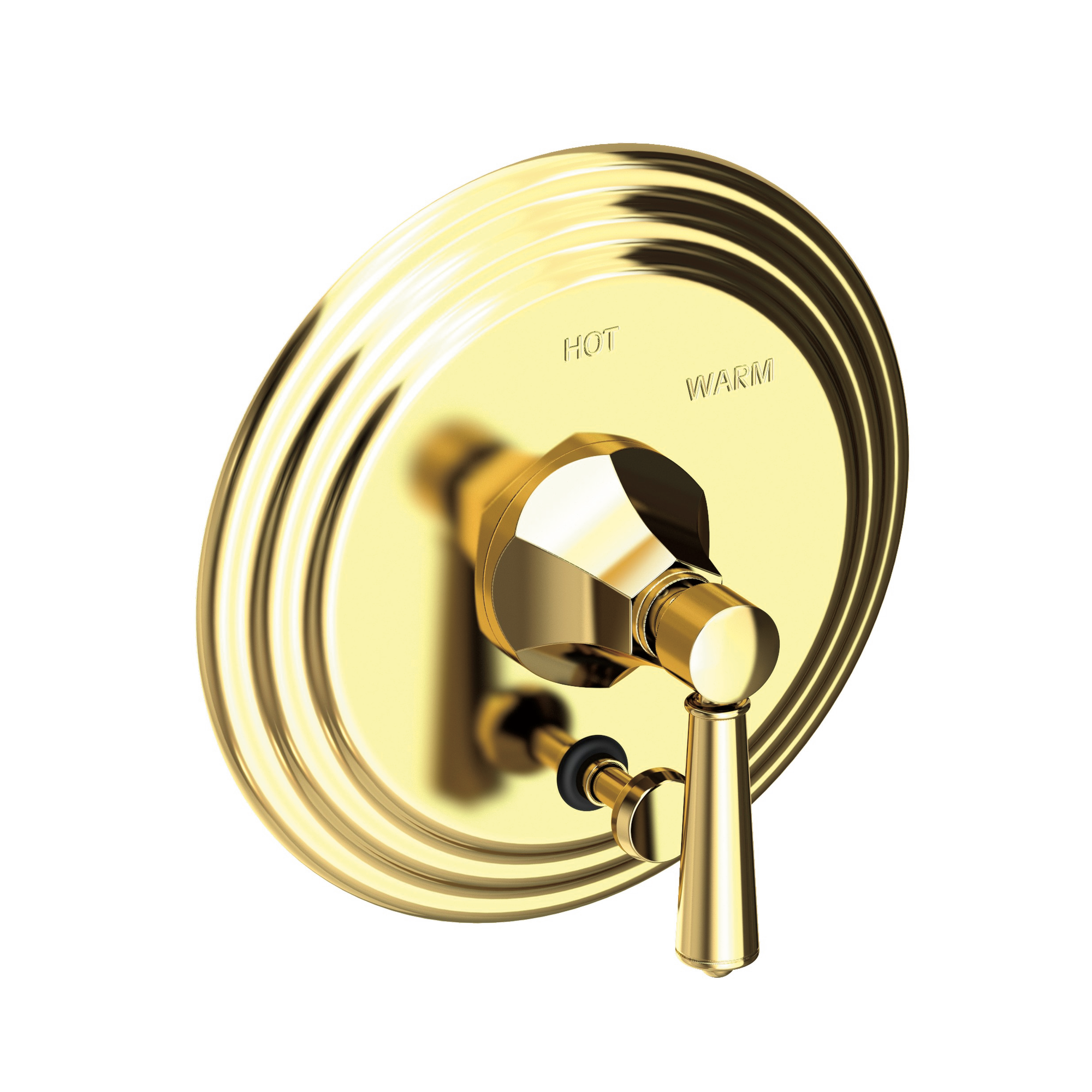 Newport Brass Metropole® Balanced Pressure Tub & Shower Diverter Plate with Handle