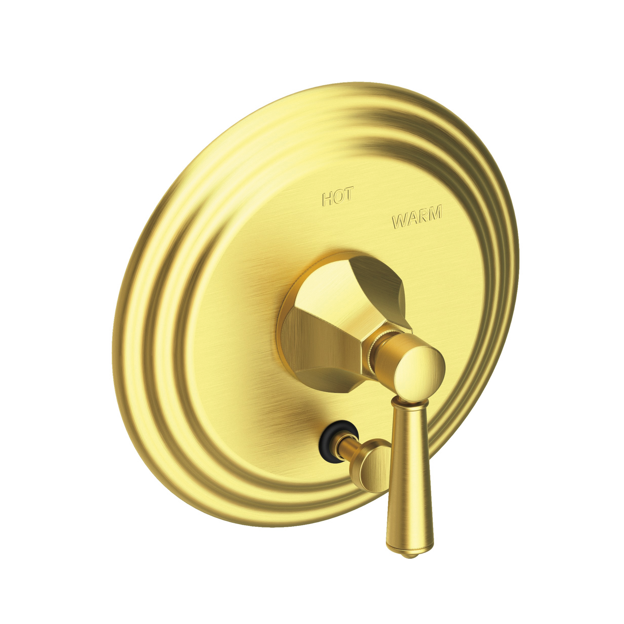 Newport Brass Metropole® Balanced Pressure Tub & Shower Diverter Plate with Handle
