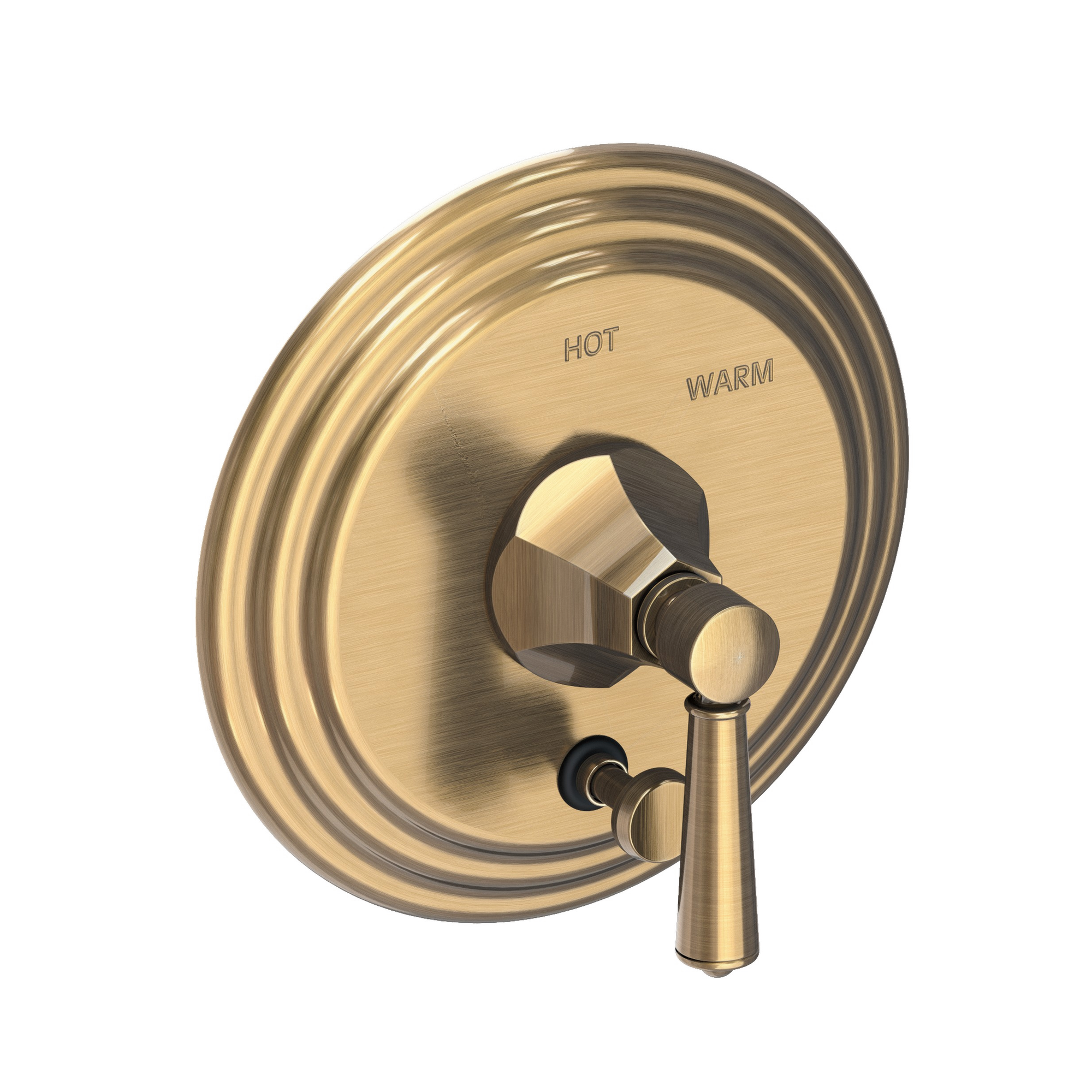 Newport Brass Metropole® Balanced Pressure Tub & Shower Diverter Plate with Handle