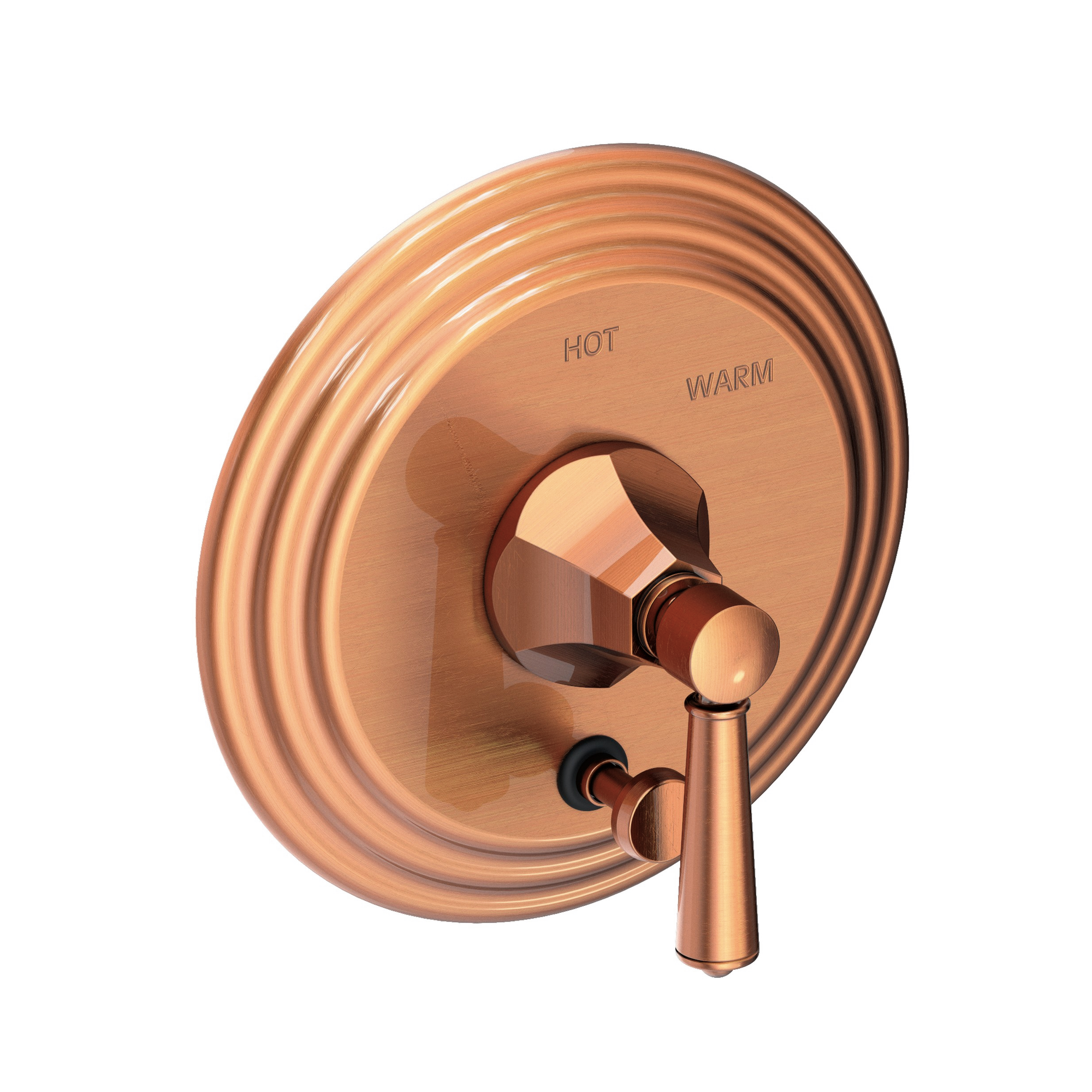 Newport Brass Metropole® Balanced Pressure Tub & Shower Diverter Plate with Handle