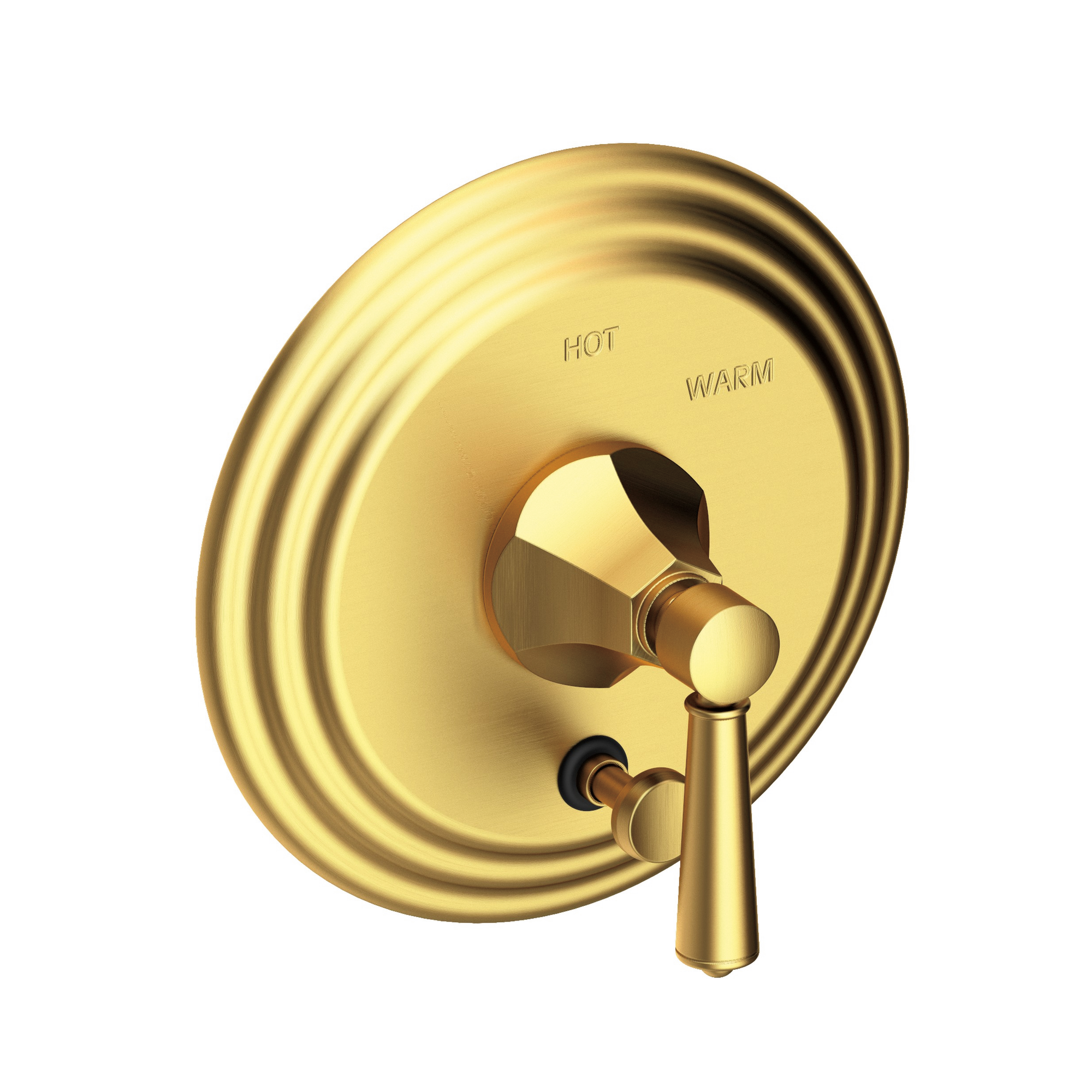 Newport Brass Metropole® Balanced Pressure Tub & Shower Diverter Plate with Handle