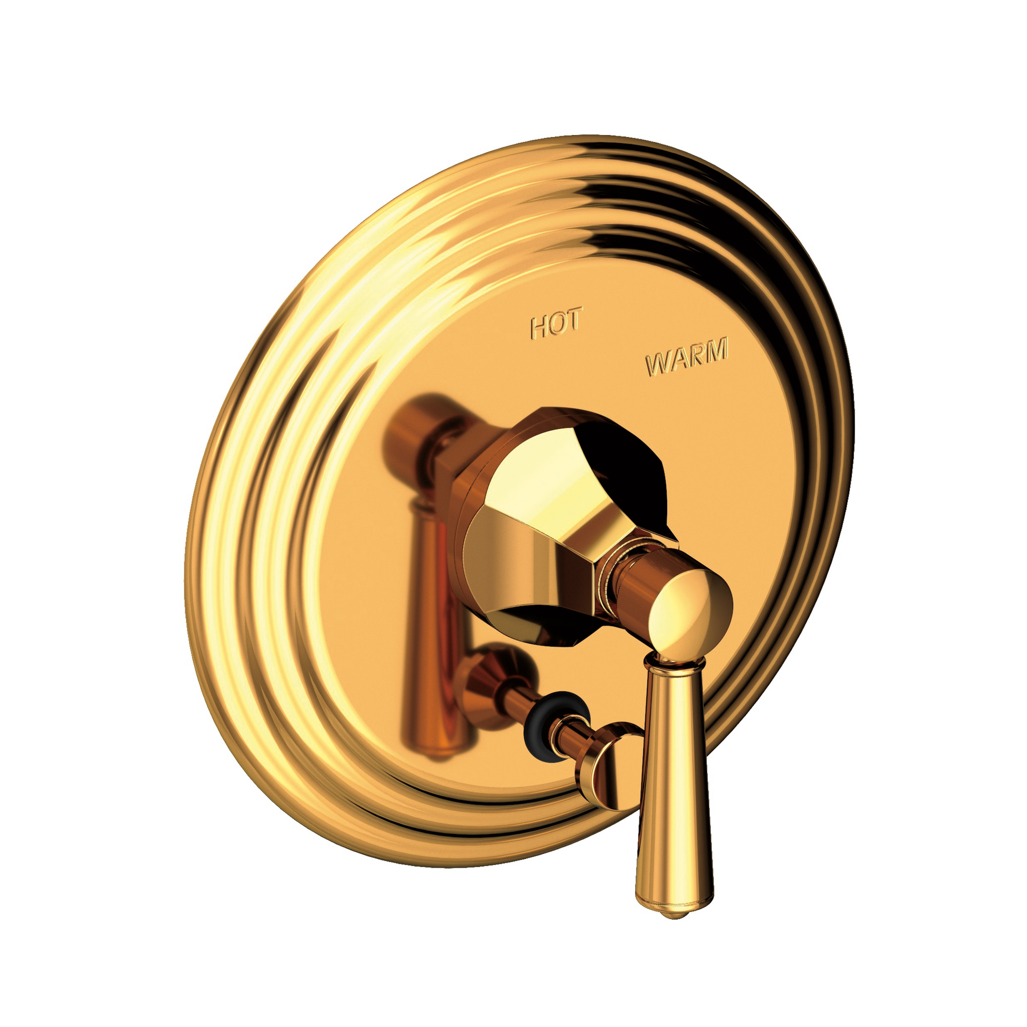 Newport Brass Metropole® Balanced Pressure Tub & Shower Diverter Plate with Handle