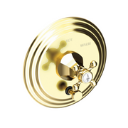 Newport Brass Metropole® Balanced Pressure Tub & Shower Diverter Plate with Handle