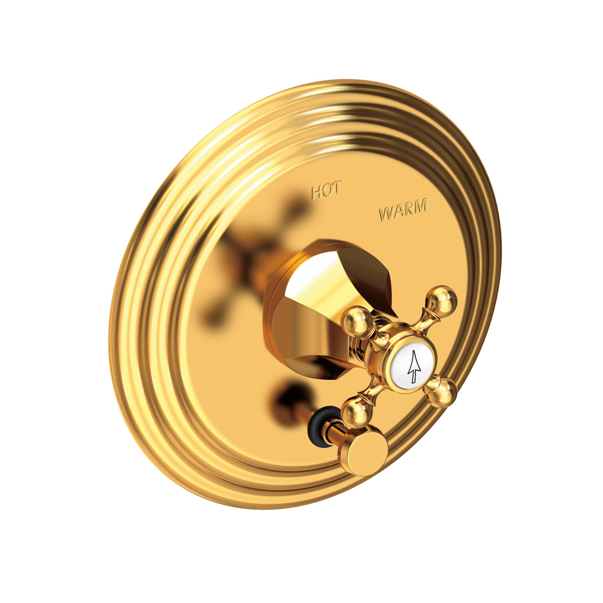 Newport Brass Metropole® Balanced Pressure Tub & Shower Diverter Plate with Handle