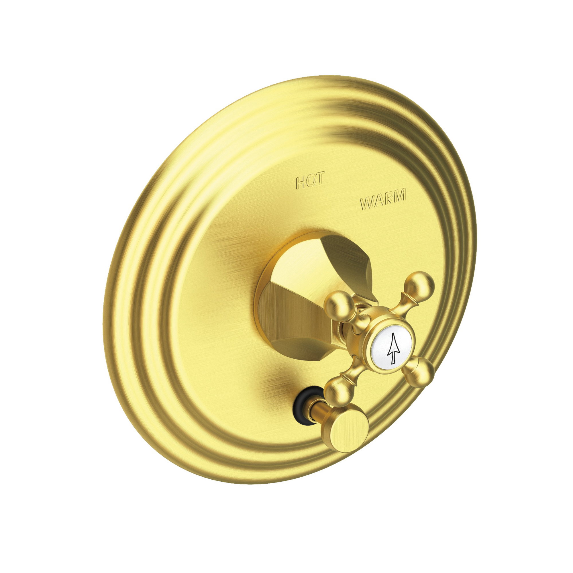 Newport Brass Metropole® Balanced Pressure Tub & Shower Diverter Plate with Handle
