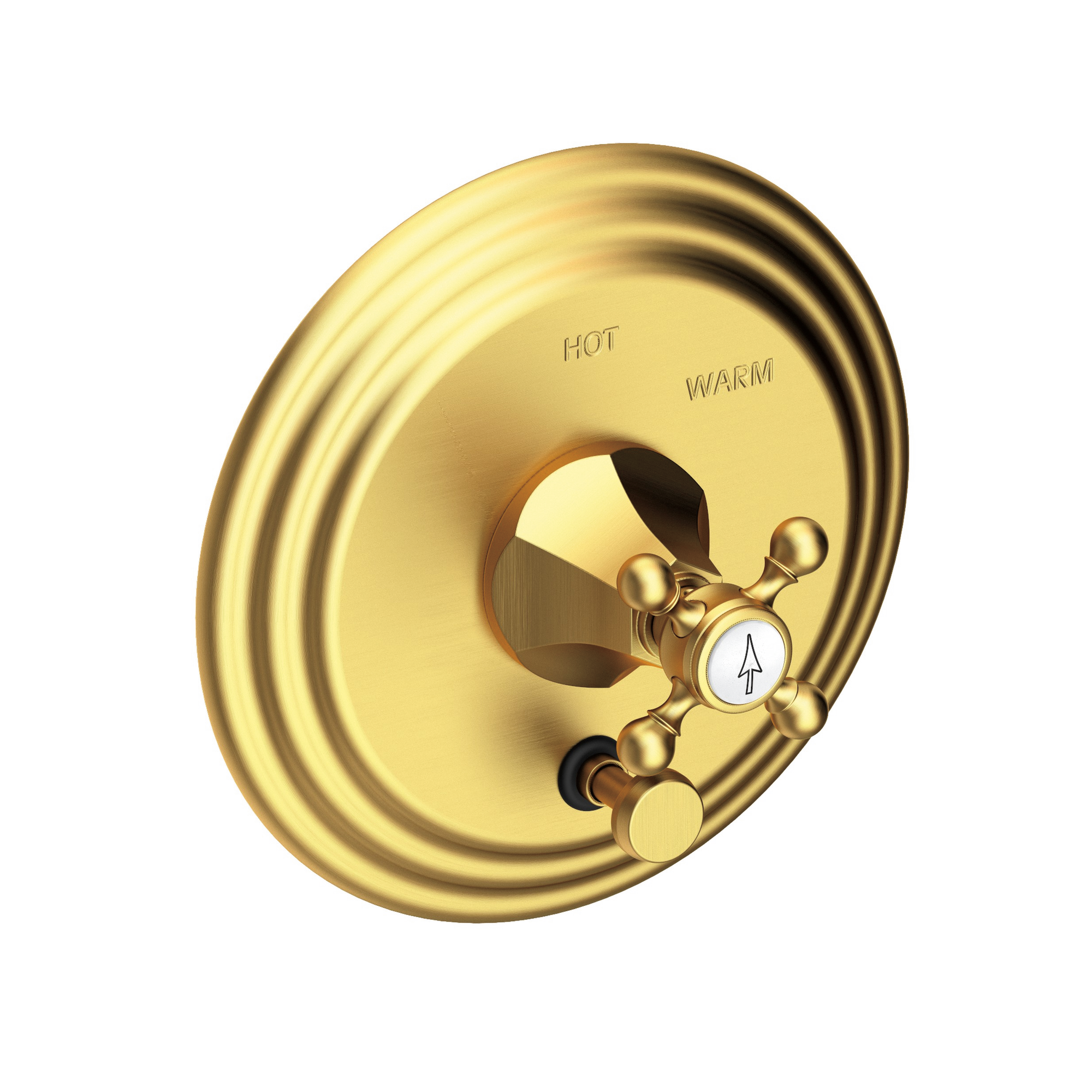 Newport Brass Metropole® Balanced Pressure Tub & Shower Diverter Plate with Handle