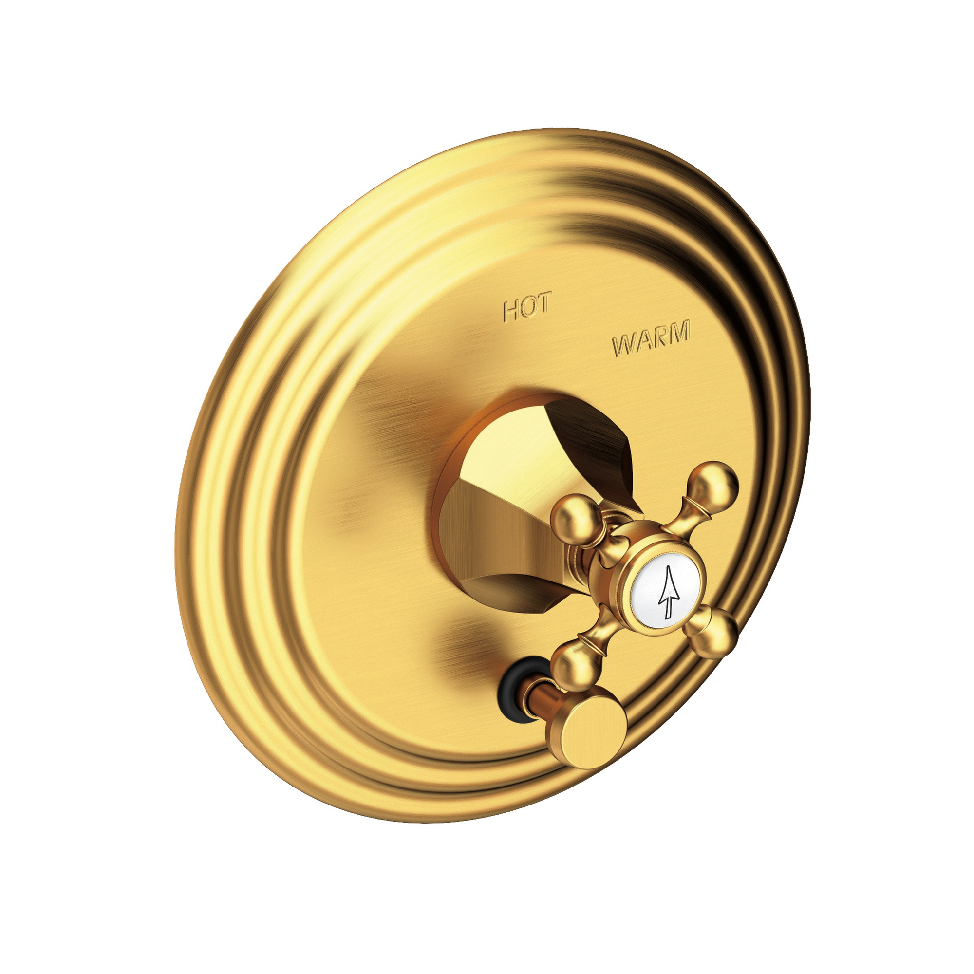 Newport Brass Metropole® Balanced Pressure Tub & Shower Diverter Plate with Handle