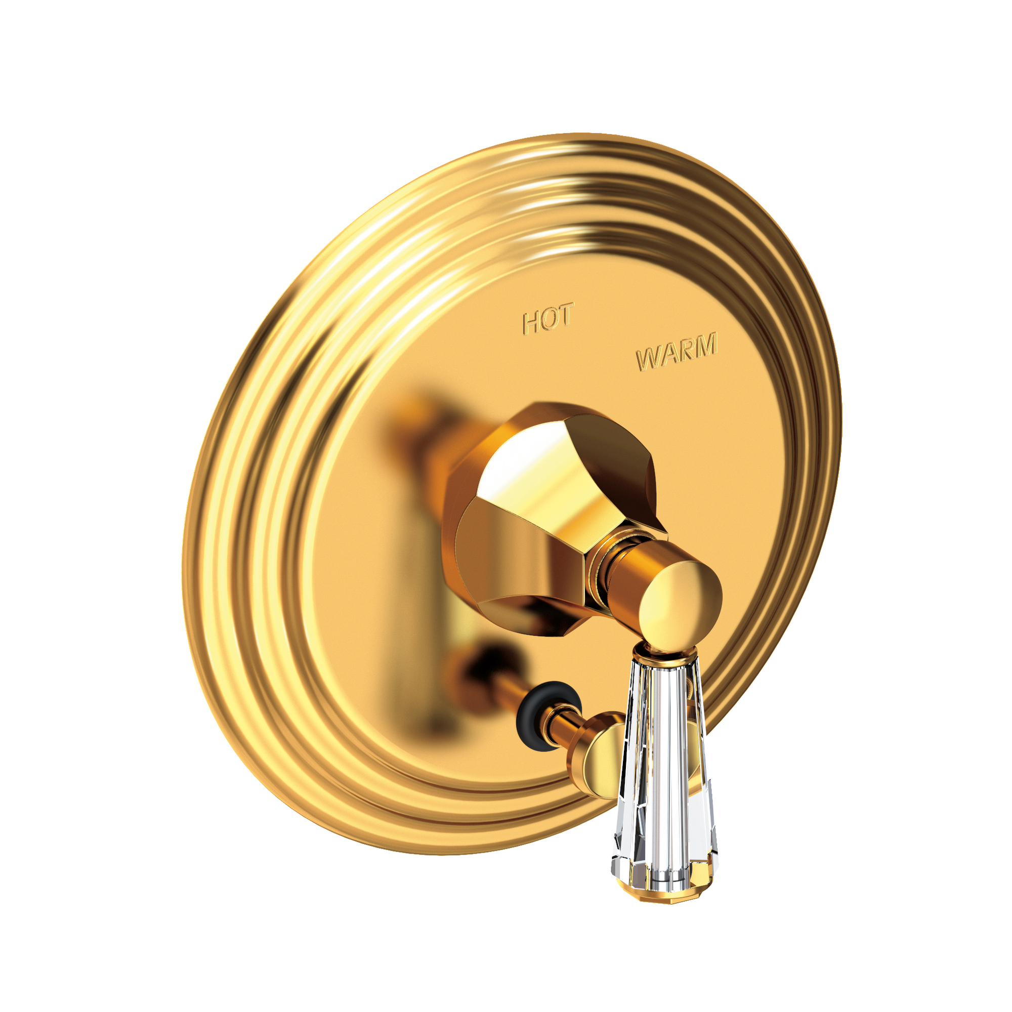 Newport Brass Metropole® Balanced Pressure Tub & Shower Diverter Plate with Handle