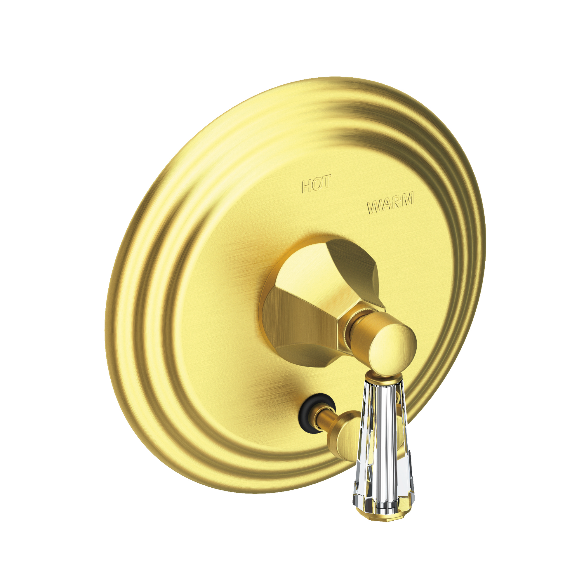 Newport Brass Metropole® Balanced Pressure Tub & Shower Diverter Plate with Handle