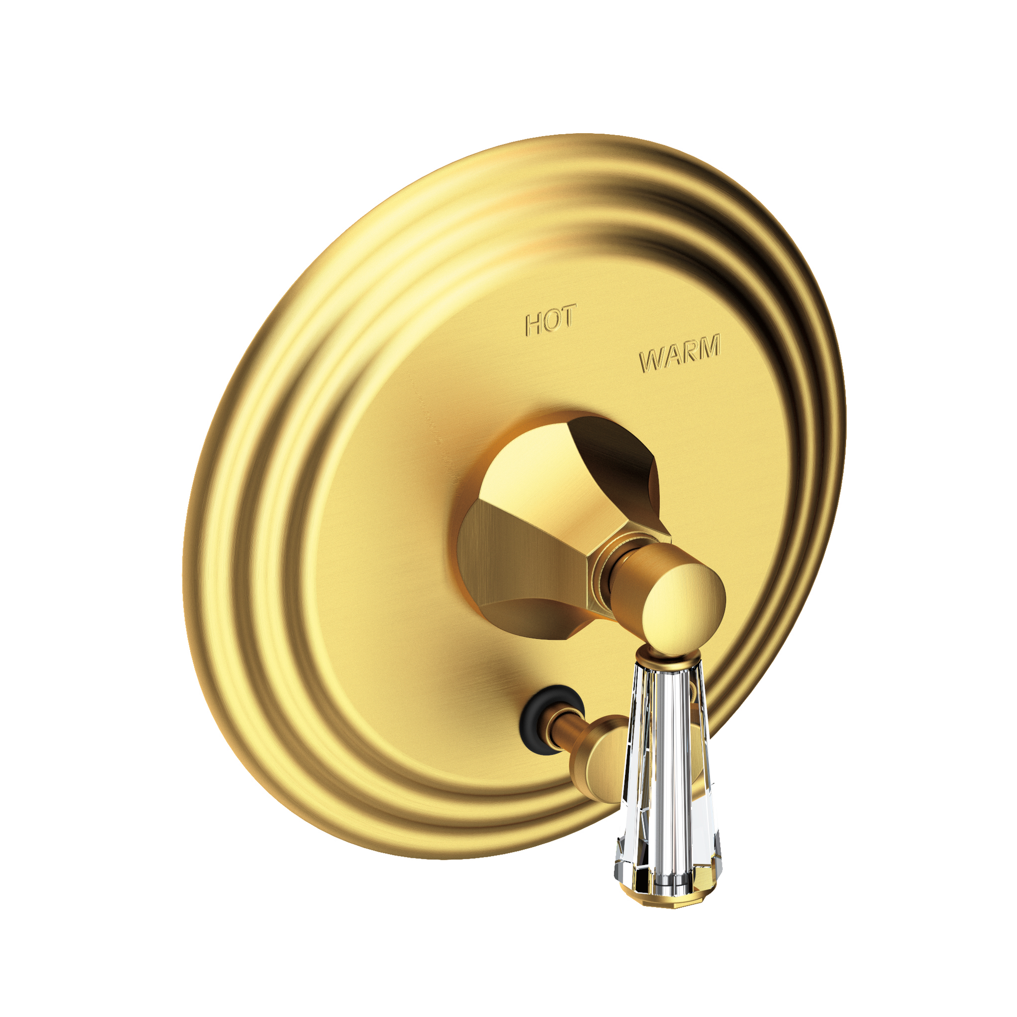 Newport Brass Metropole® Balanced Pressure Tub & Shower Diverter Plate with Handle