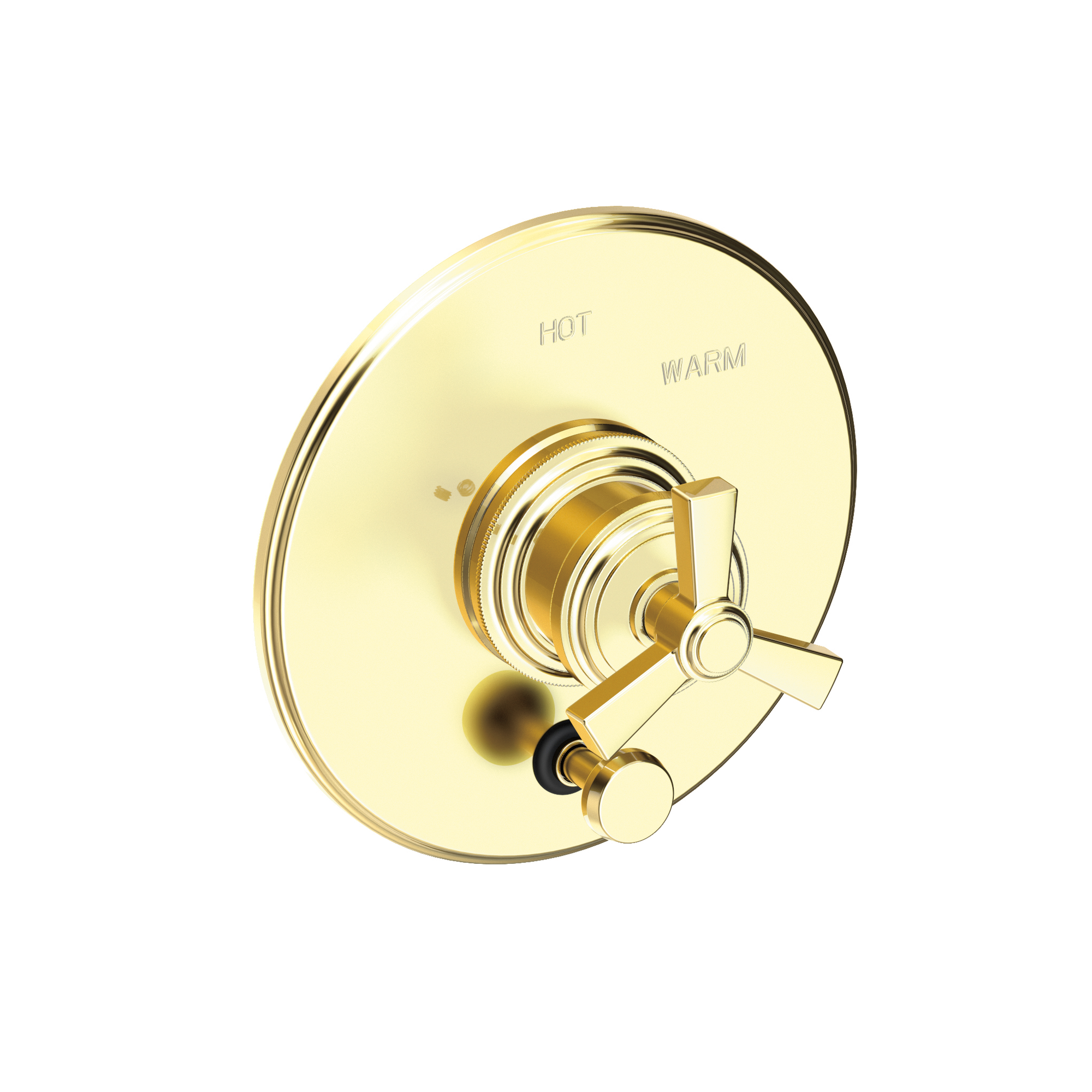 Newport Brass Miro Balanced Pressure Tub & Shower Diverter Plate with Handle