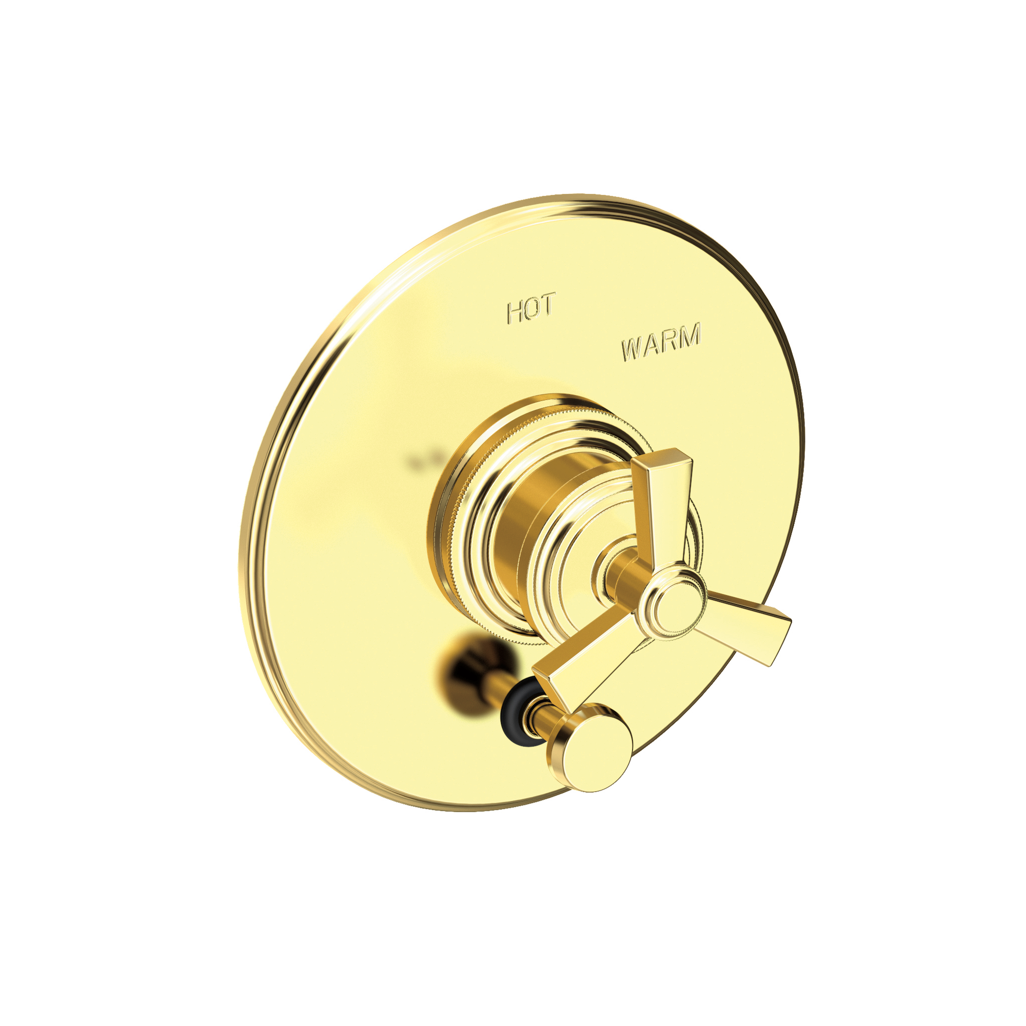 Newport Brass Miro Balanced Pressure Tub & Shower Diverter Plate with Handle