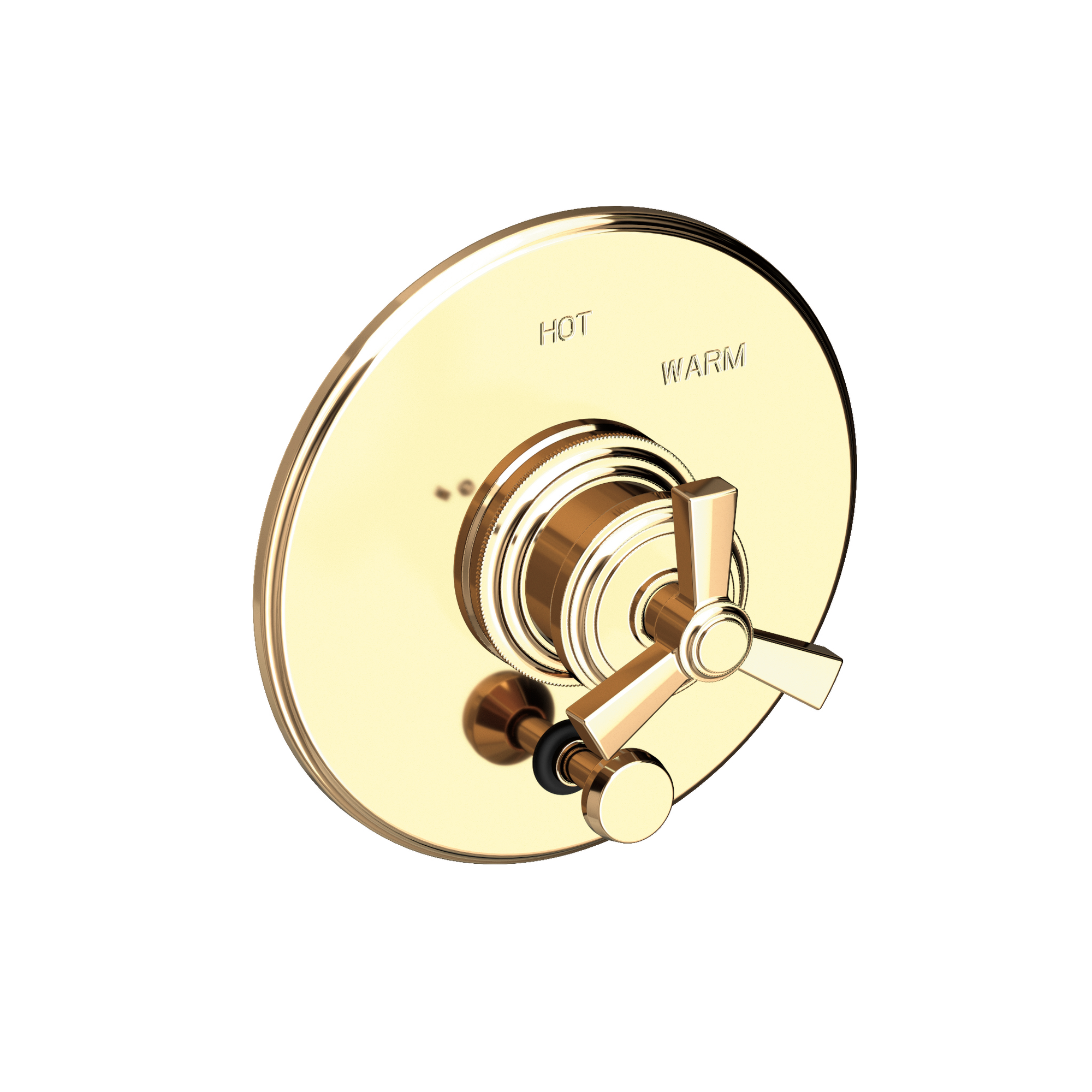Newport Brass Miro Balanced Pressure Tub & Shower Diverter Plate with Handle