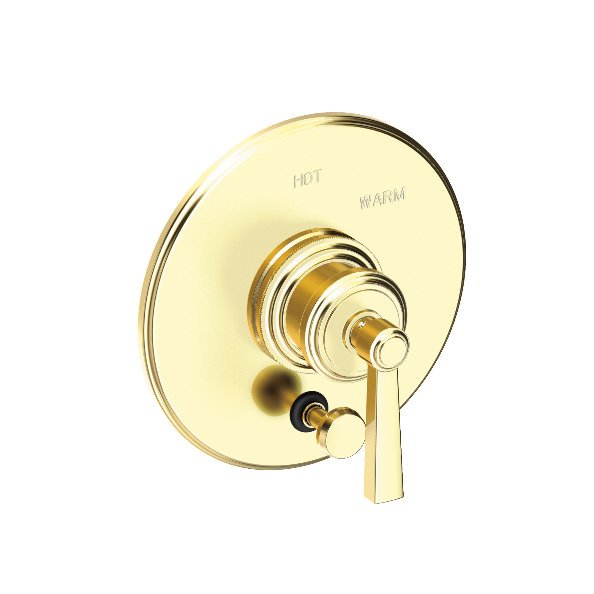 Newport Brass Miro Balanced Pressure Tub & Shower Diverter Plate with Handle