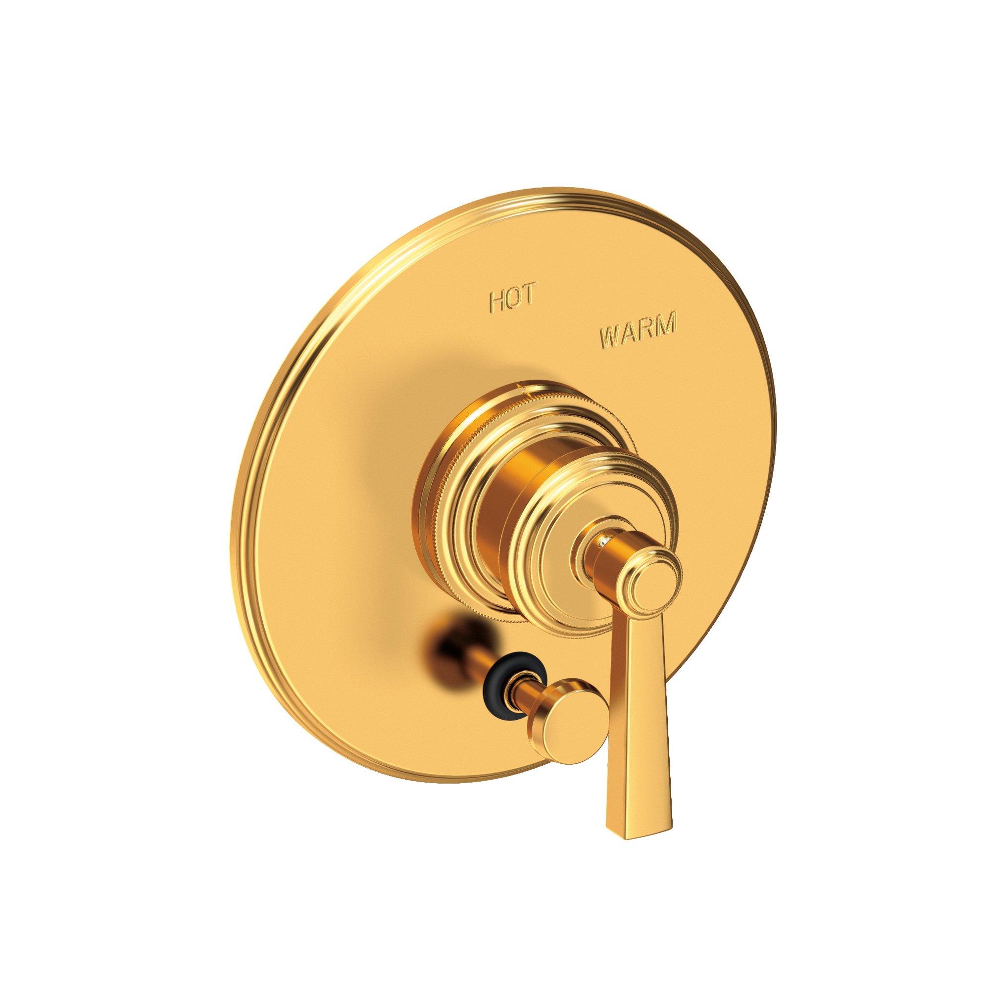 Newport Brass Miro Balanced Pressure Tub & Shower Diverter Plate with Handle