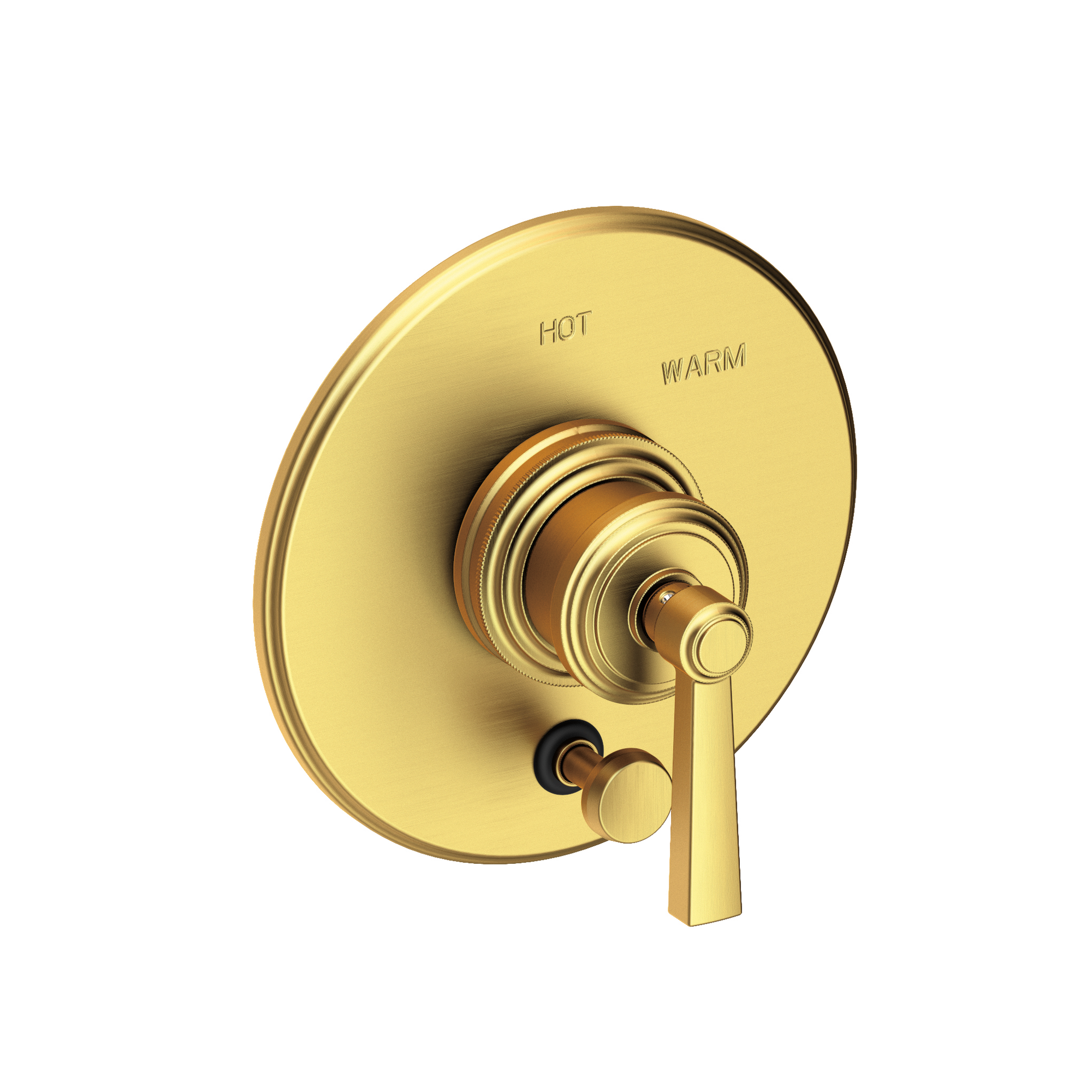 Newport Brass Miro Balanced Pressure Tub & Shower Diverter Plate with Handle