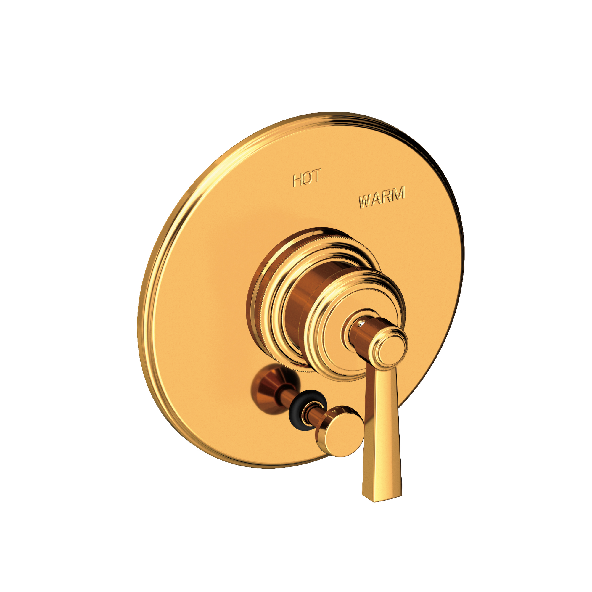 Newport Brass Miro Balanced Pressure Tub & Shower Diverter Plate with Handle