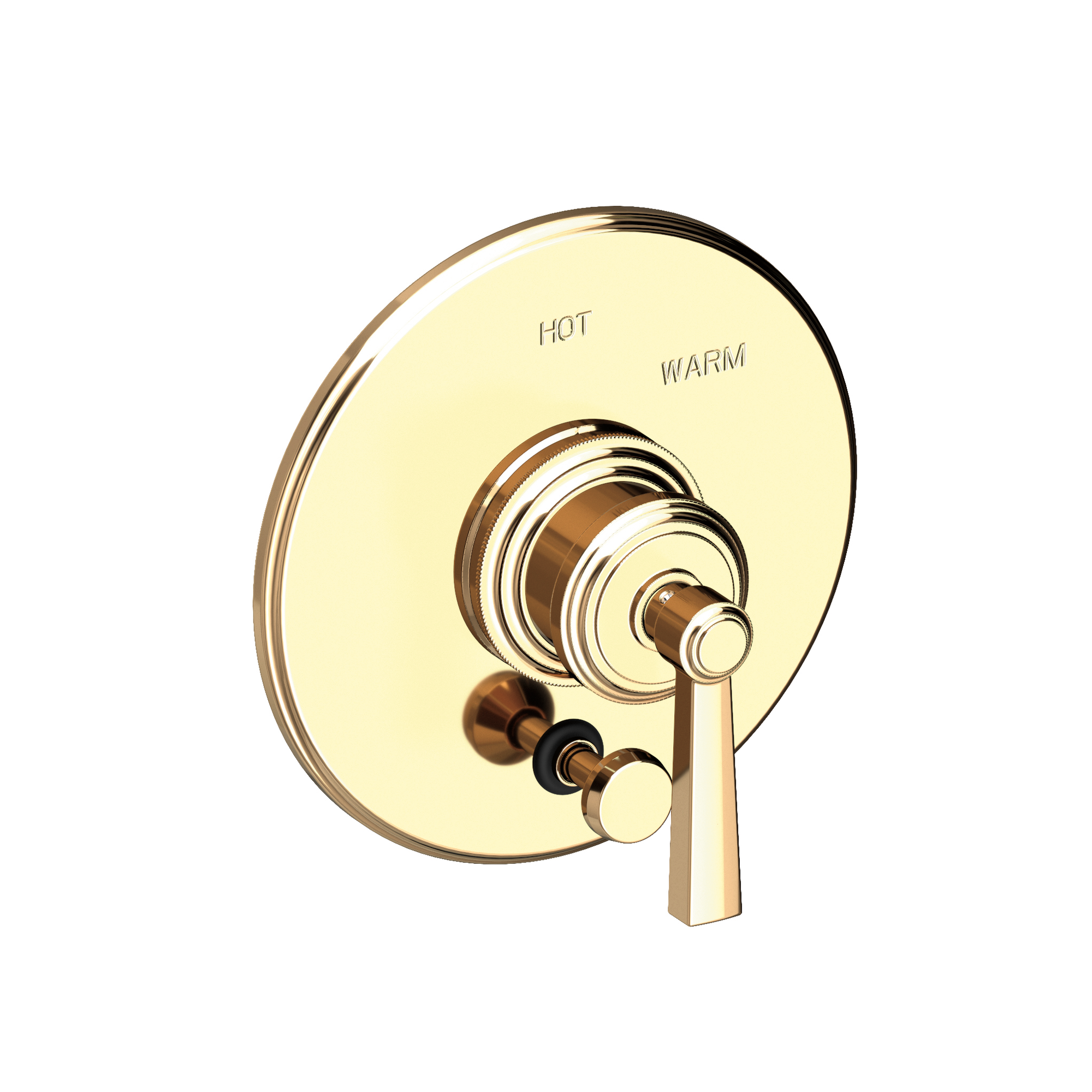 Newport Brass Miro Balanced Pressure Tub & Shower Diverter Plate with Handle