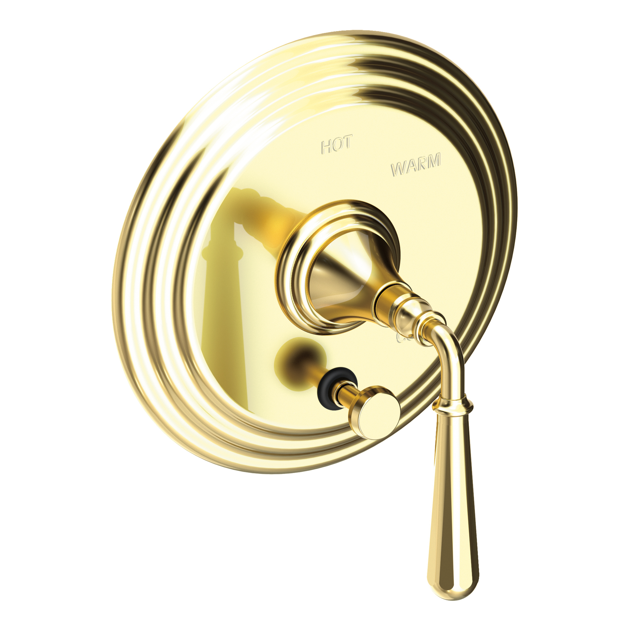 Newport Brass Bevelle Balanced Pressure Tub & Shower Diverter Plate with Handle