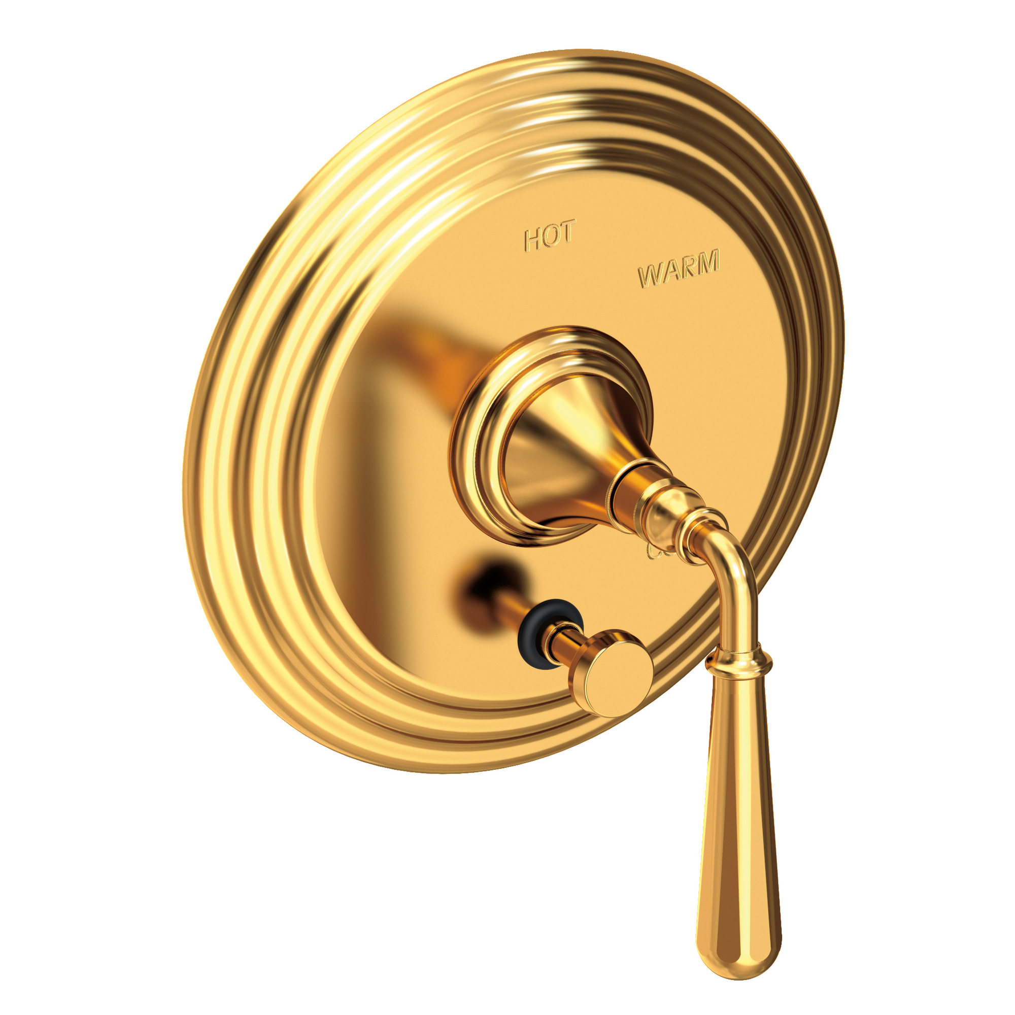Newport Brass Bevelle Balanced Pressure Tub & Shower Diverter Plate with Handle