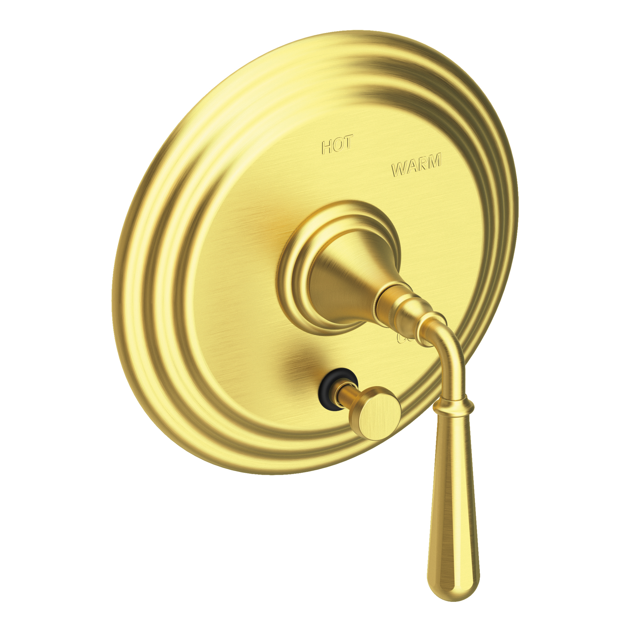 Newport Brass Bevelle Balanced Pressure Tub & Shower Diverter Plate with Handle