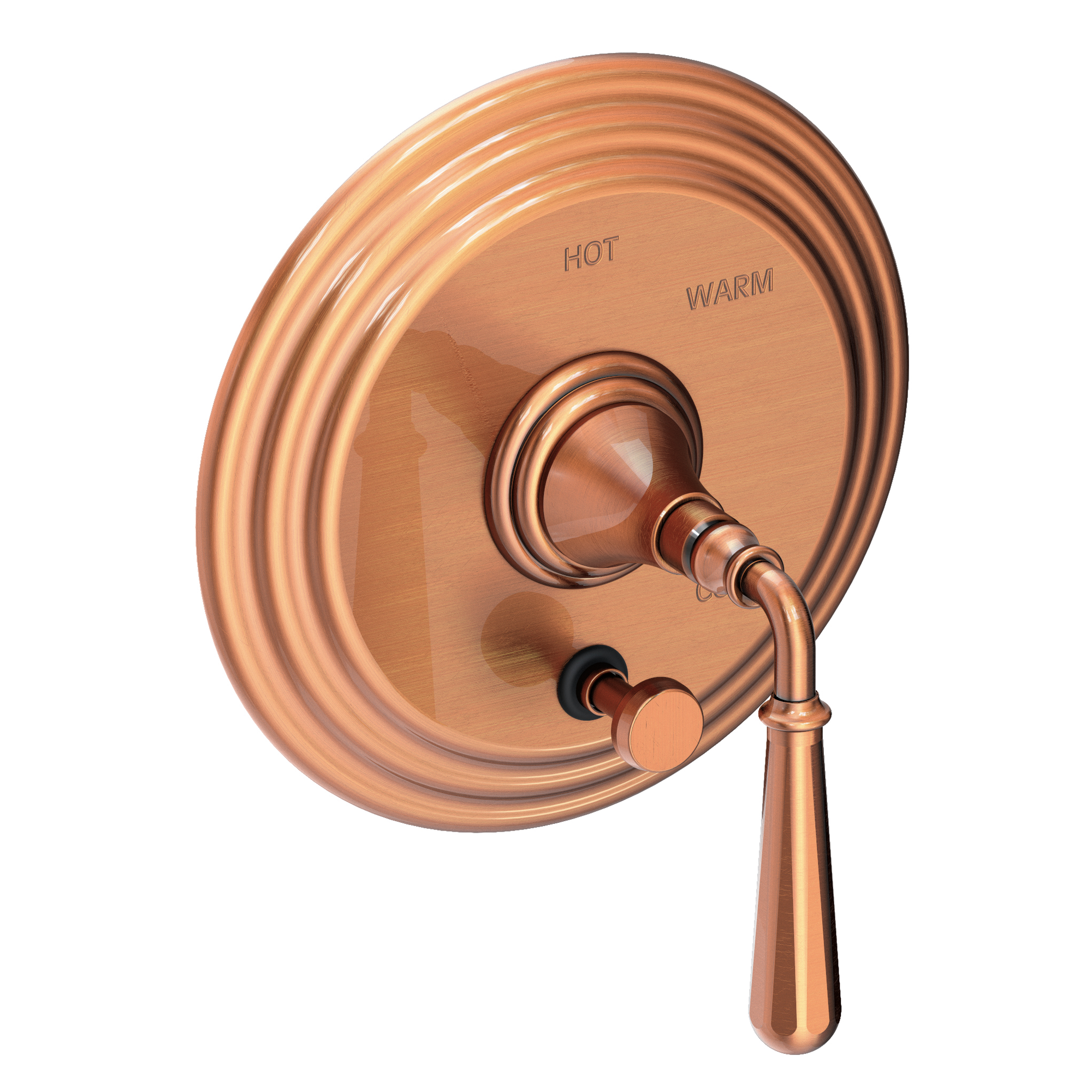 Newport Brass Bevelle Balanced Pressure Tub & Shower Diverter Plate with Handle