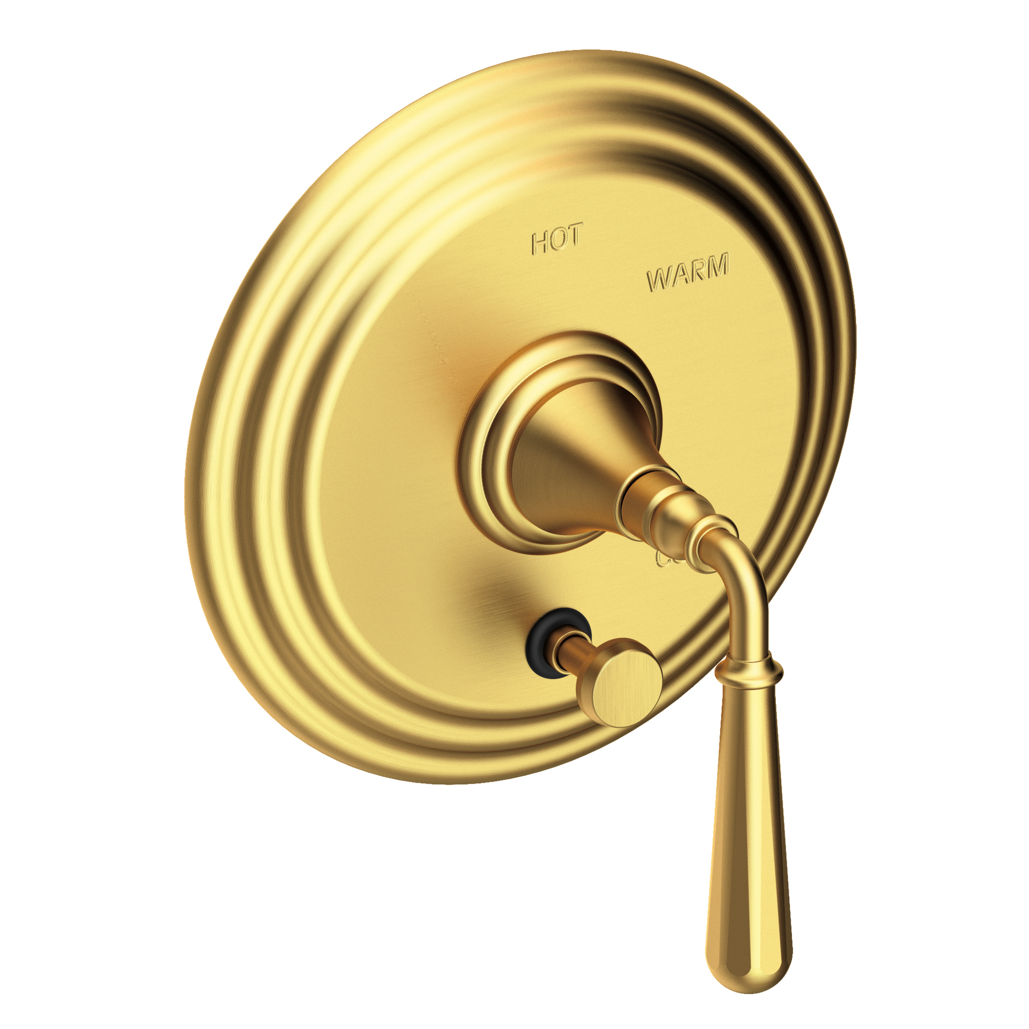Newport Brass Bevelle Balanced Pressure Tub & Shower Diverter Plate with Handle