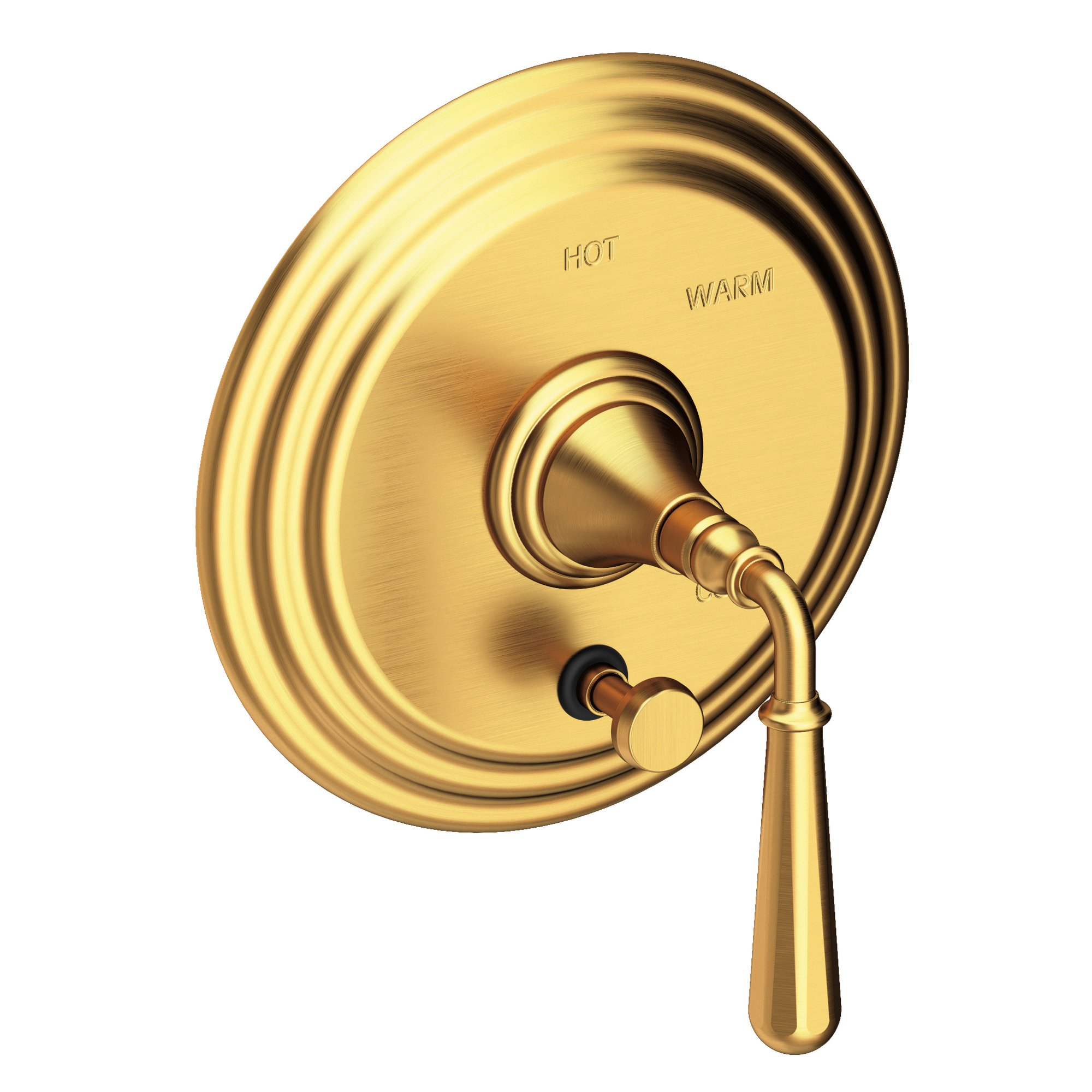 Newport Brass Bevelle Balanced Pressure Tub & Shower Diverter Plate with Handle