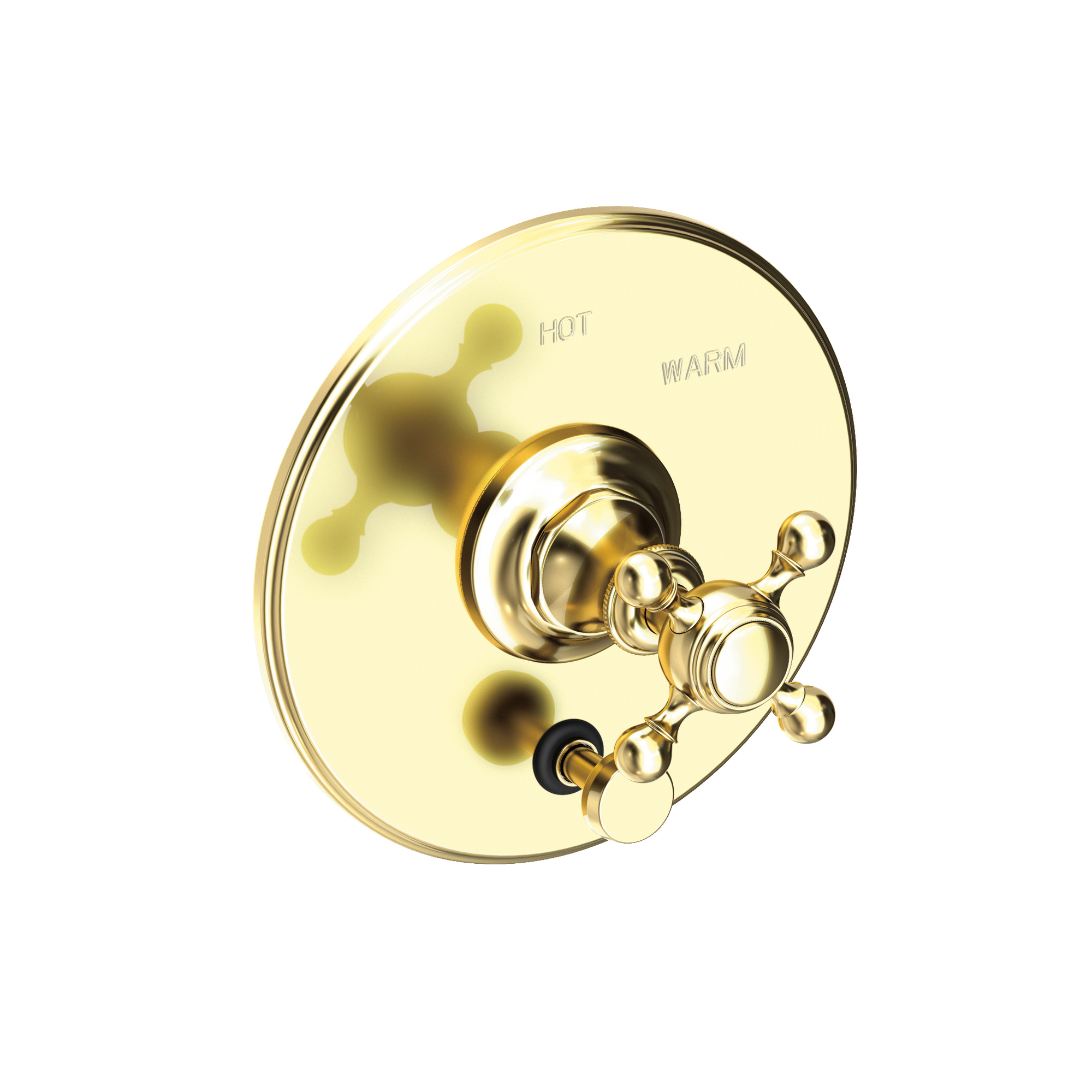 Newport Brass Victoria Balanced Pressure Tub & Shower Diverter Plate with Handle