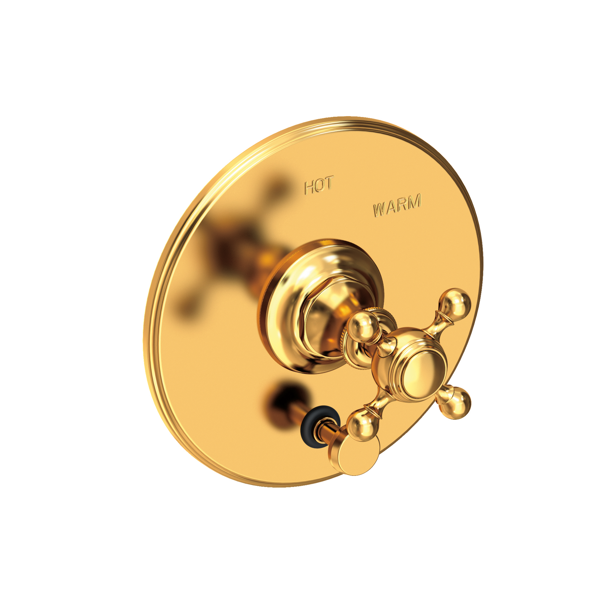 Newport Brass Victoria Balanced Pressure Tub & Shower Diverter Plate with Handle