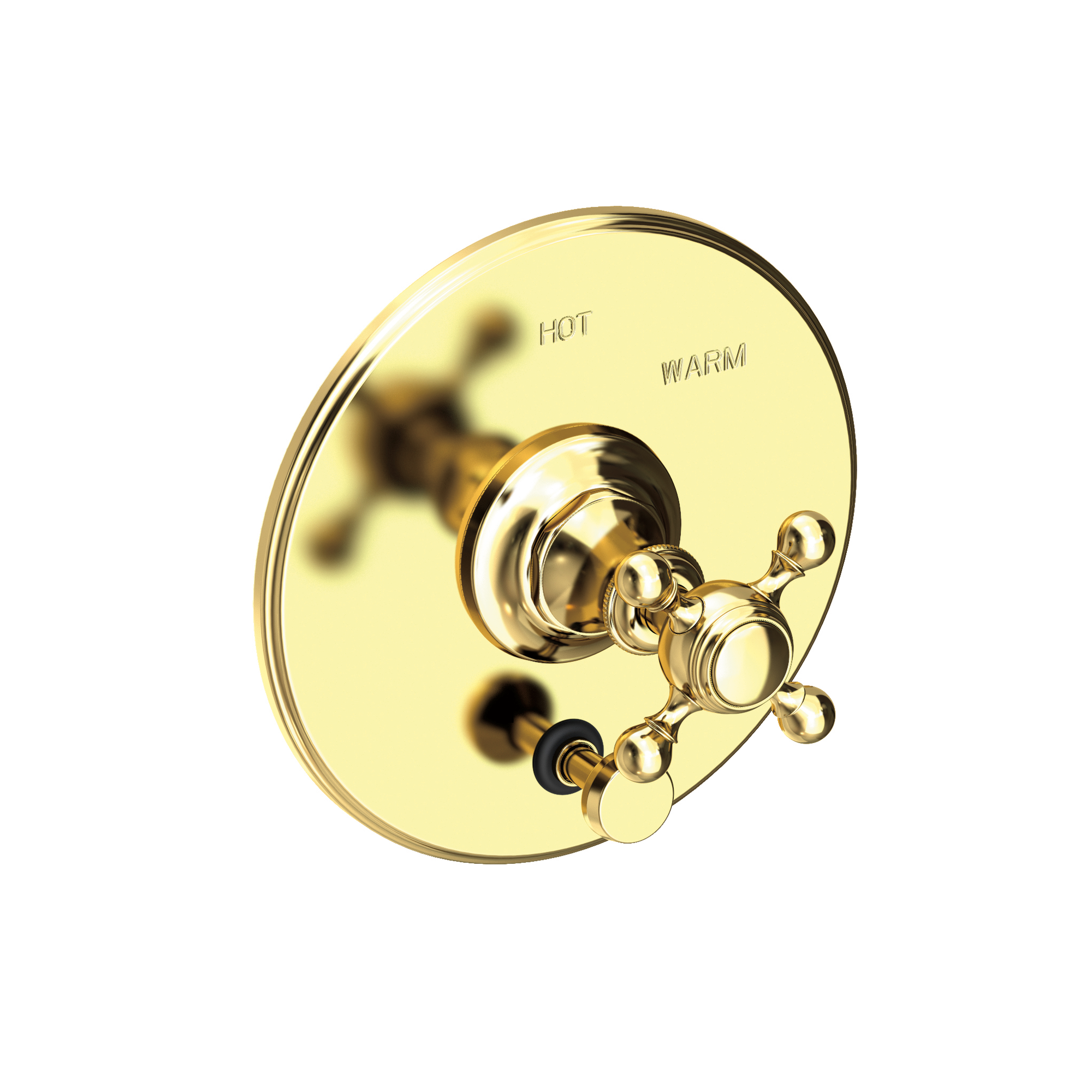 Newport Brass Victoria Balanced Pressure Tub & Shower Diverter Plate with Handle