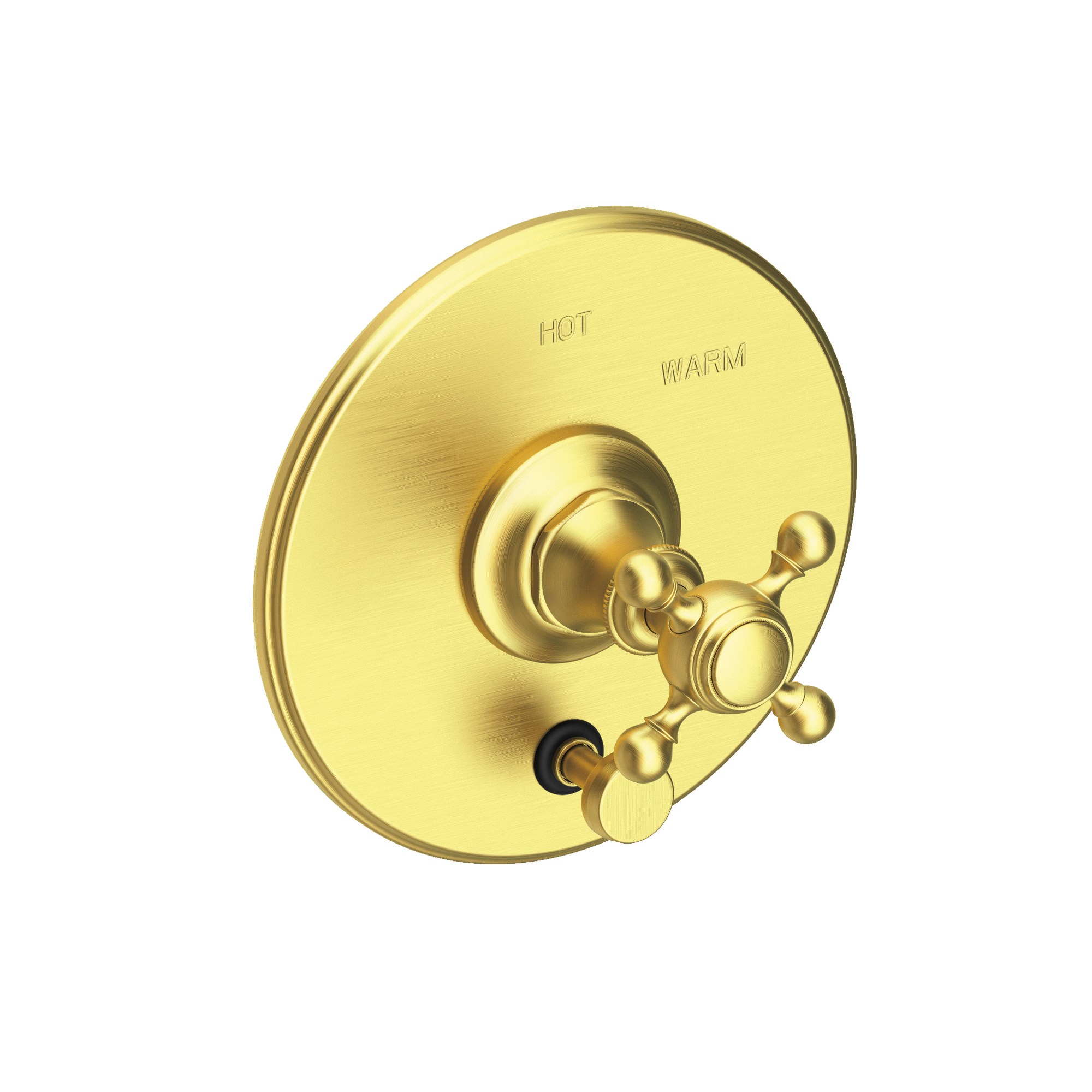 Newport Brass Victoria Balanced Pressure Tub & Shower Diverter Plate with Handle
