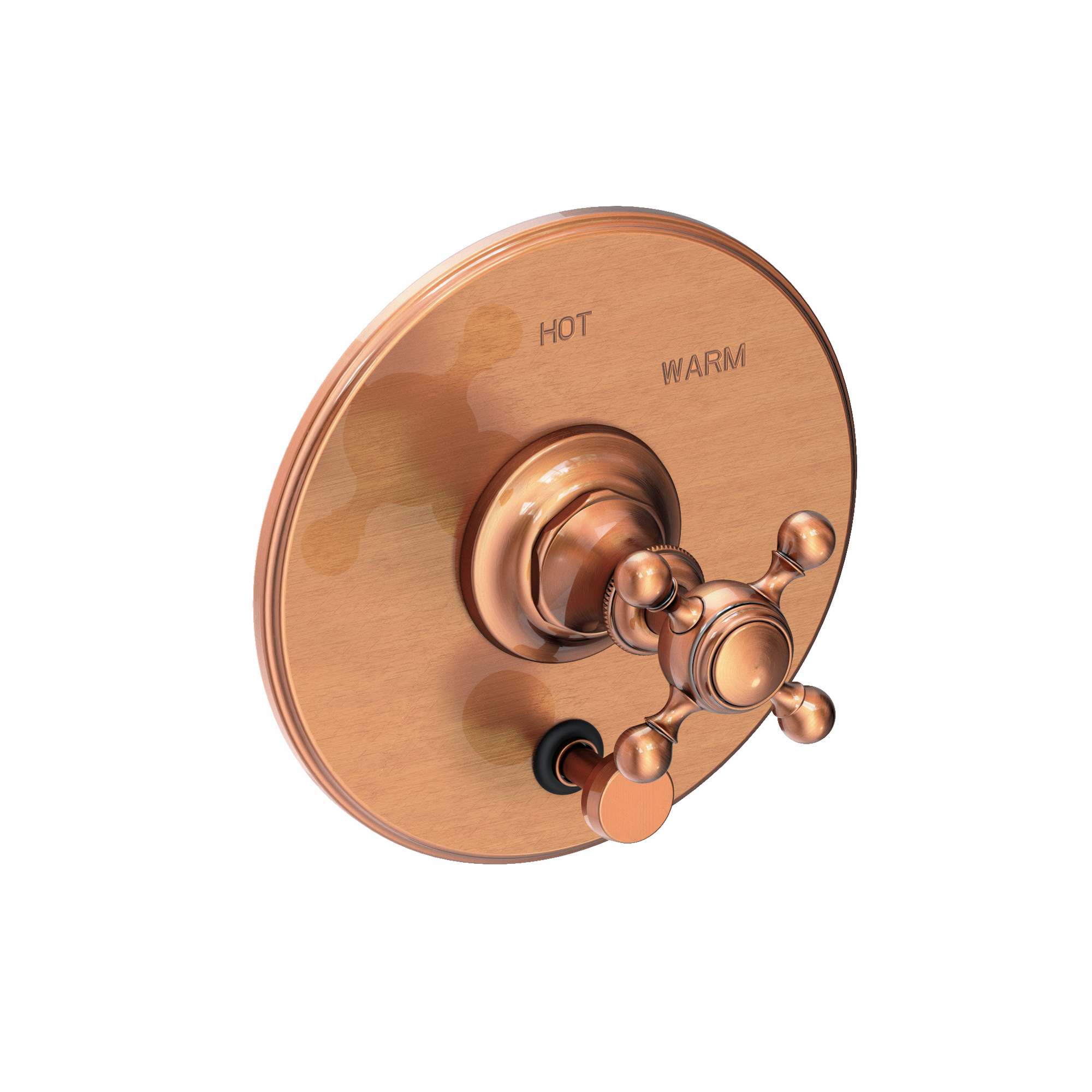 Newport Brass Victoria Balanced Pressure Tub & Shower Diverter Plate with Handle