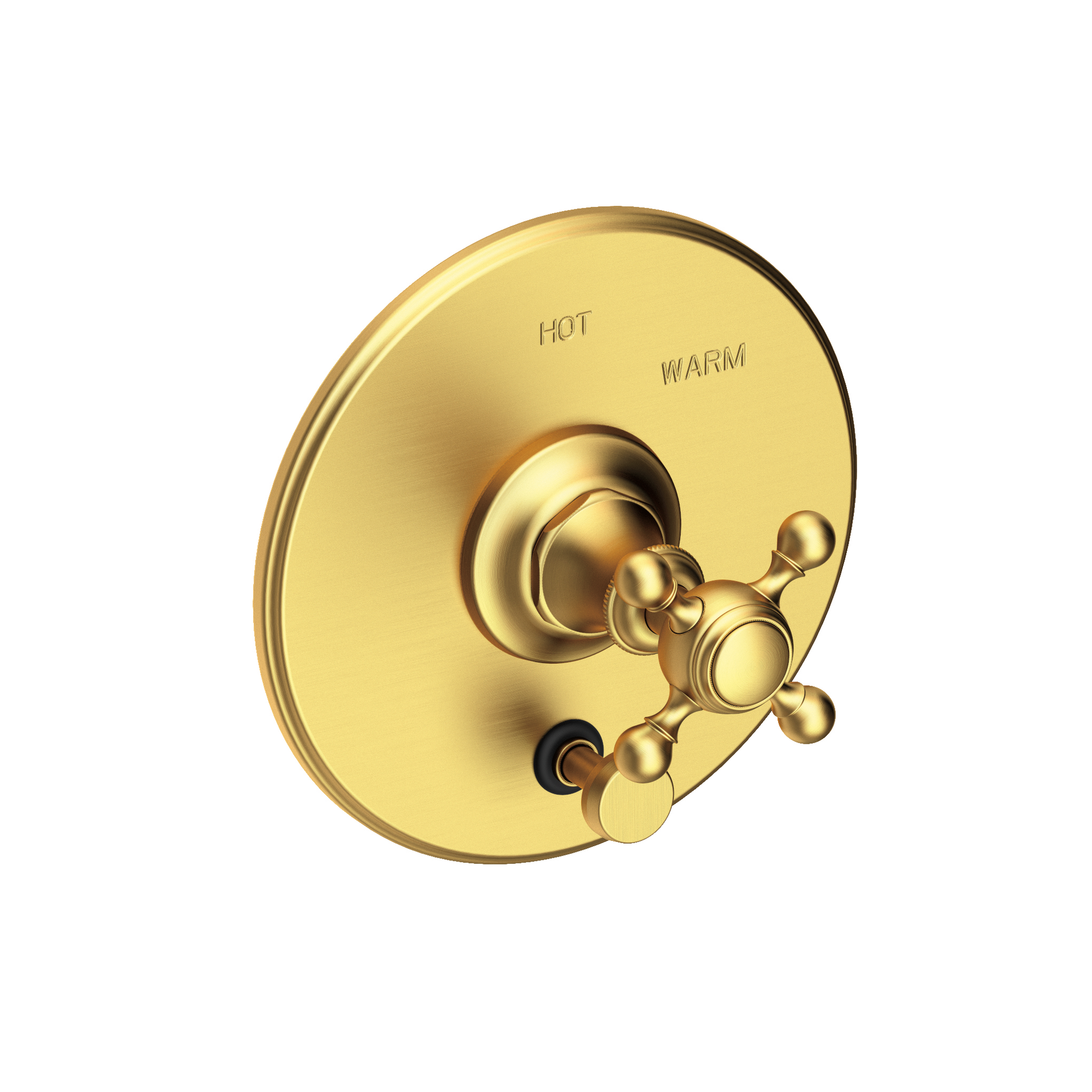 Newport Brass Victoria Balanced Pressure Tub & Shower Diverter Plate with Handle