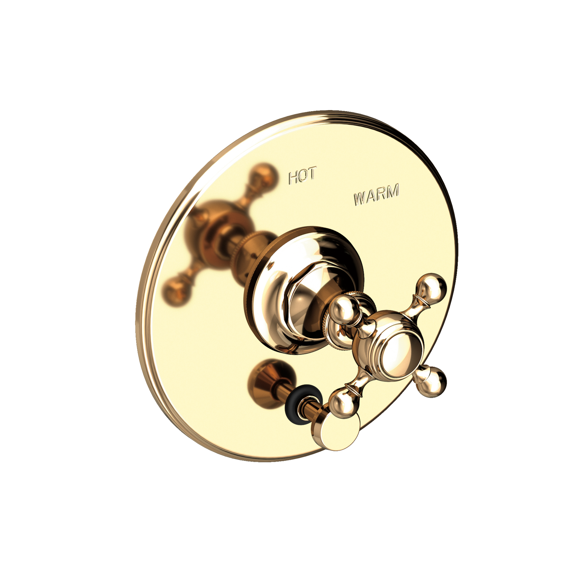 Newport Brass Victoria Balanced Pressure Tub & Shower Diverter Plate with Handle