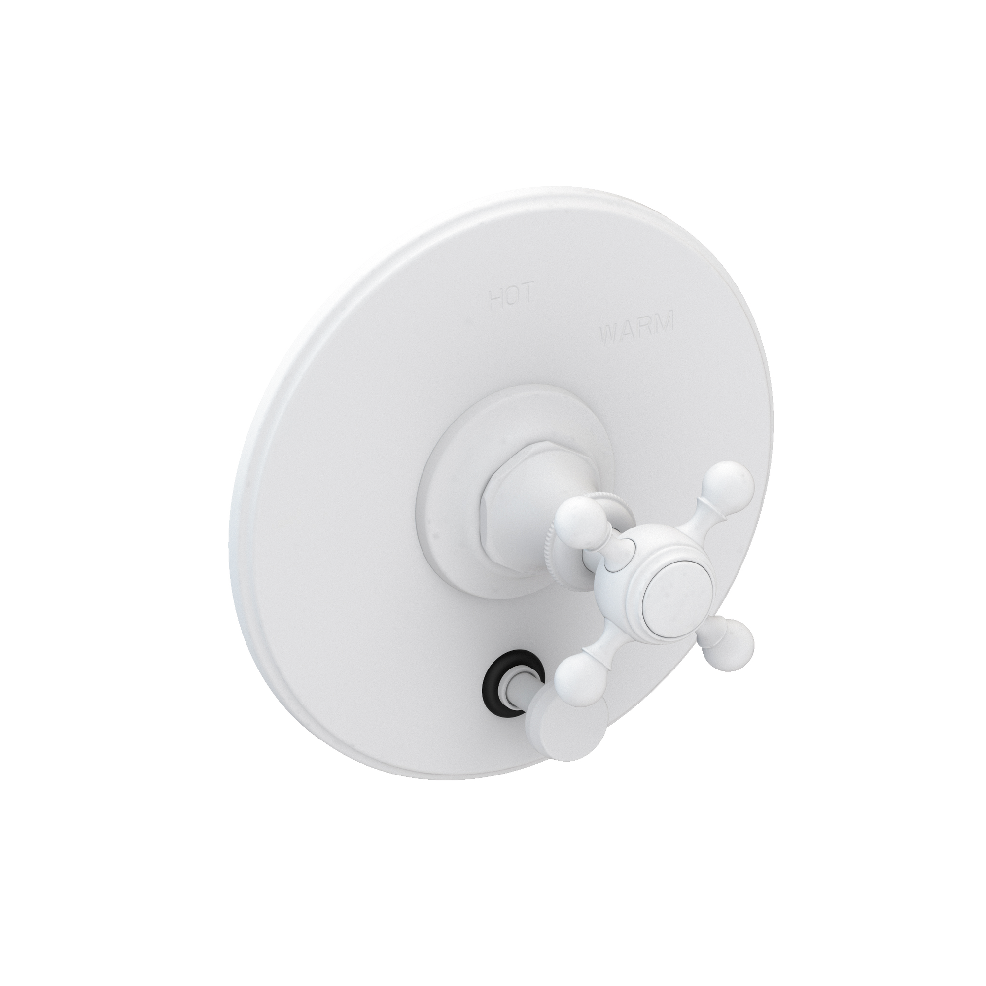 Newport Brass Victoria Balanced Pressure Tub & Shower Diverter Plate with Handle