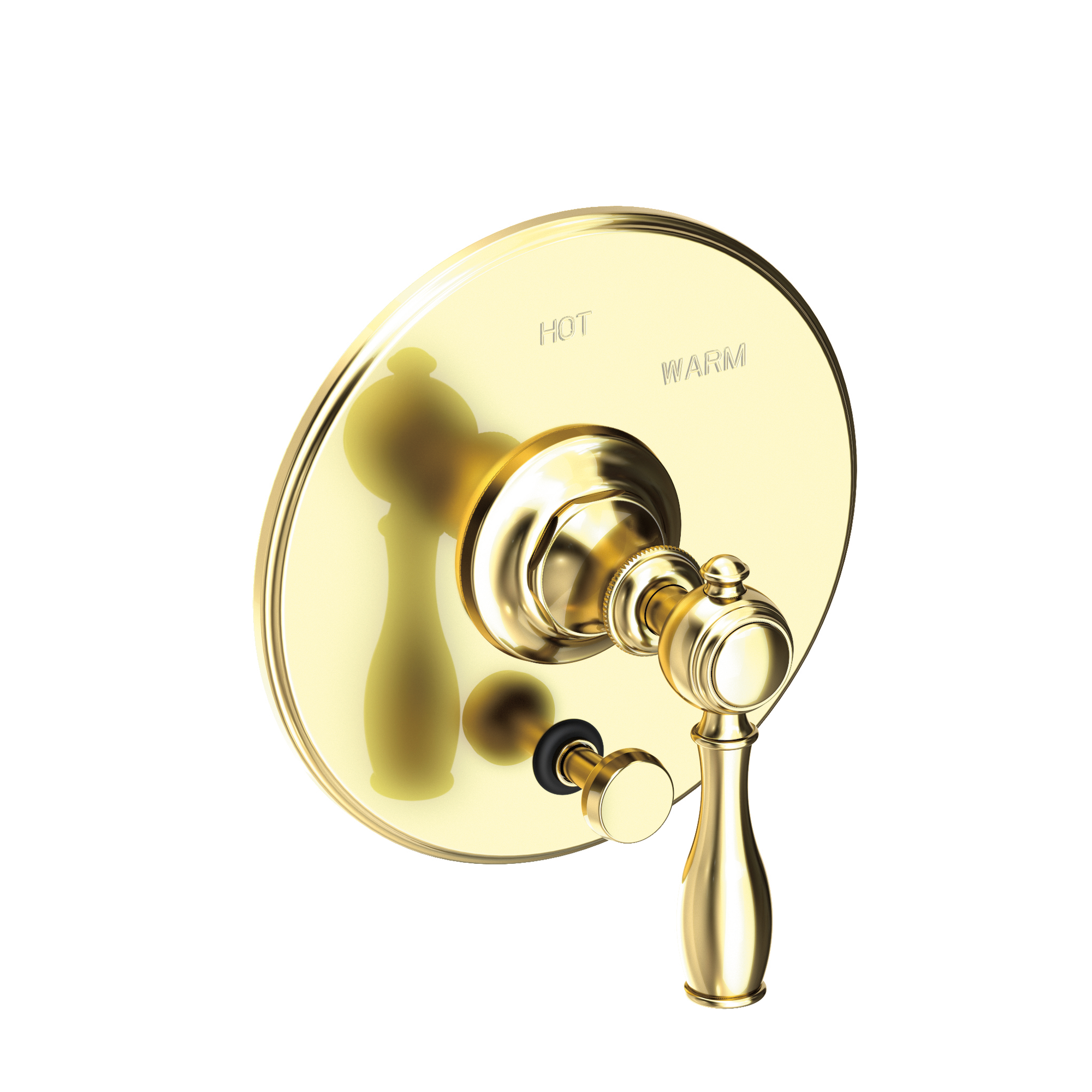 Newport Brass Victoria Balanced Pressure Tub & Shower Diverter Plate with Handle