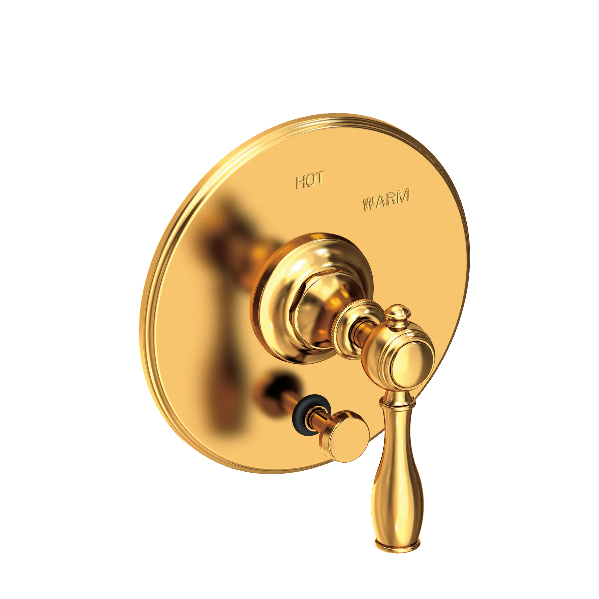 Newport Brass Victoria Balanced Pressure Tub & Shower Diverter Plate with Handle