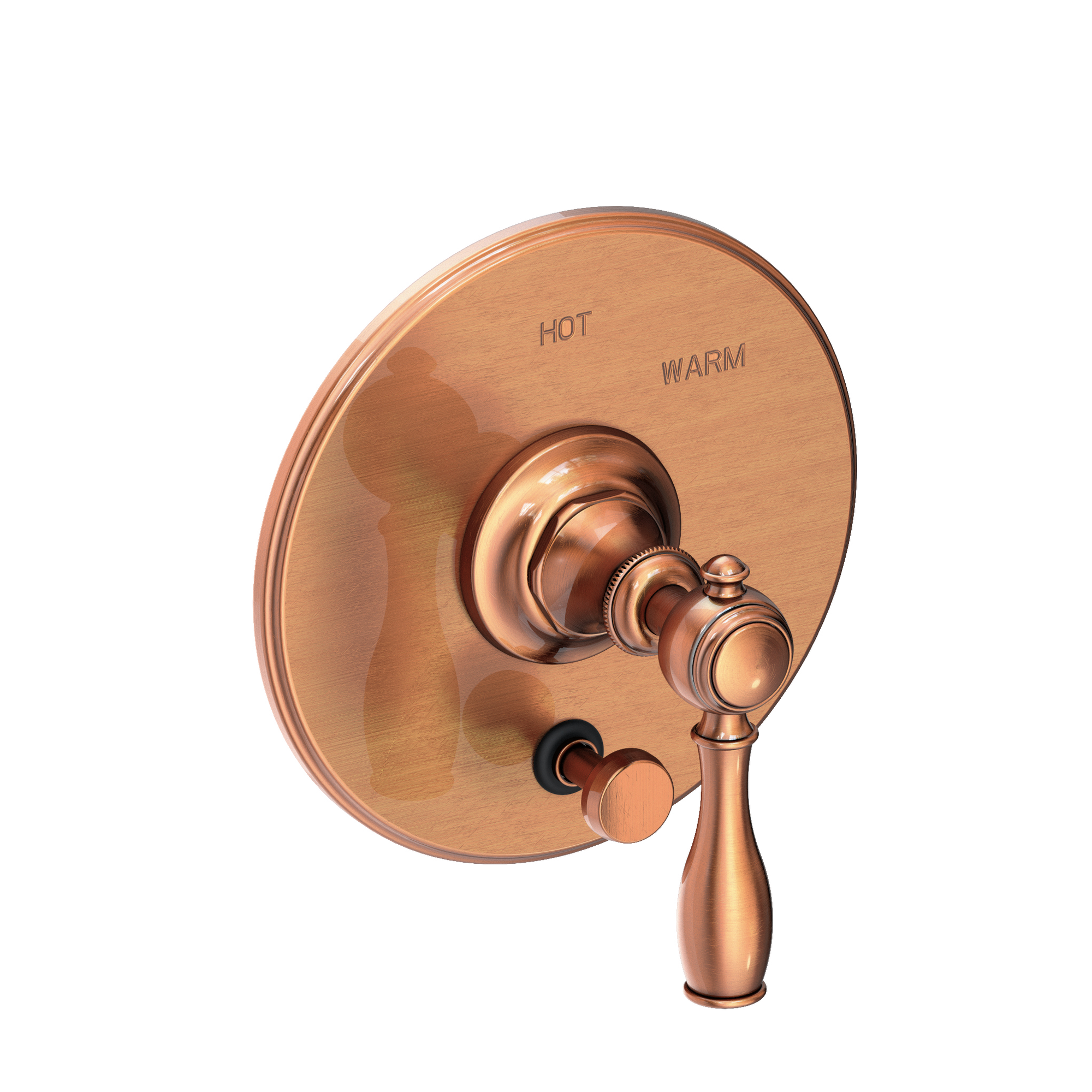 Newport Brass Victoria Balanced Pressure Tub & Shower Diverter Plate with Handle