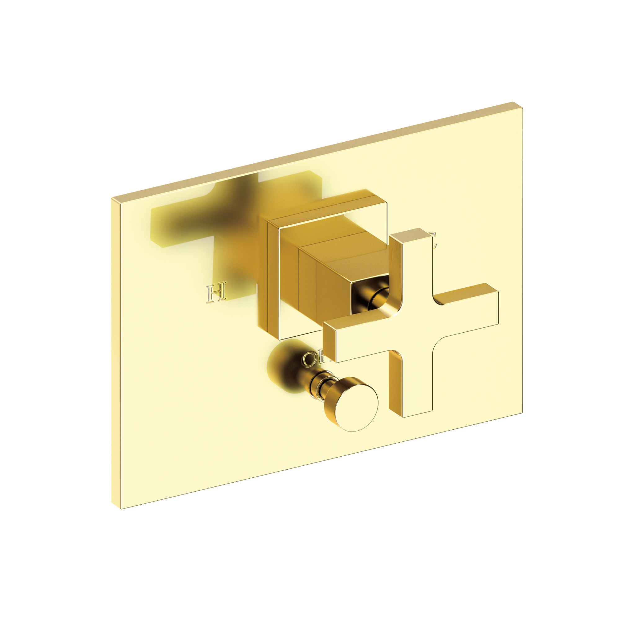 Newport Brass Secant® Balanced Pressure Tub & Shower Diverter Plate with Handle
